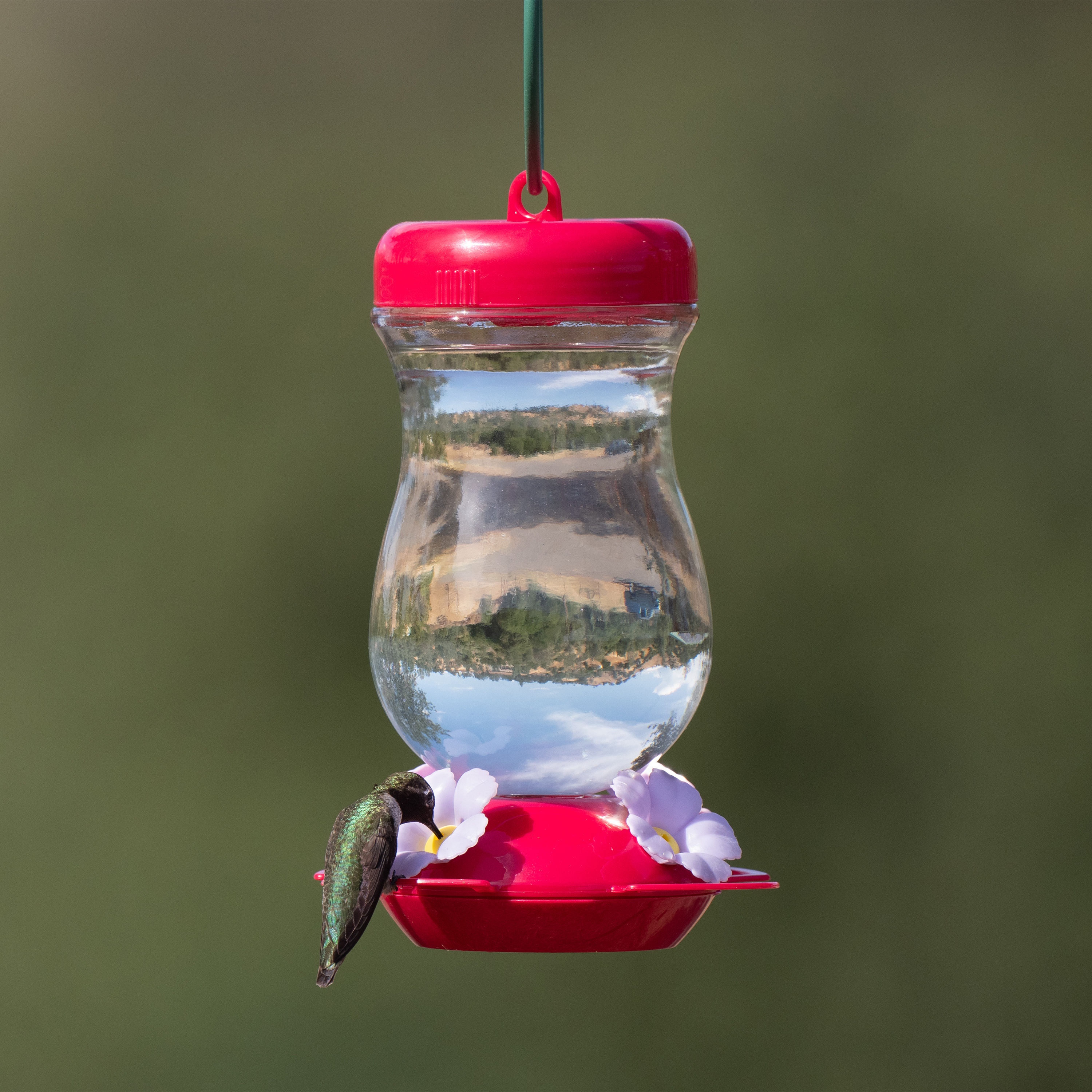 Perky-Pet 132TFP Bird-Feeders - View #10