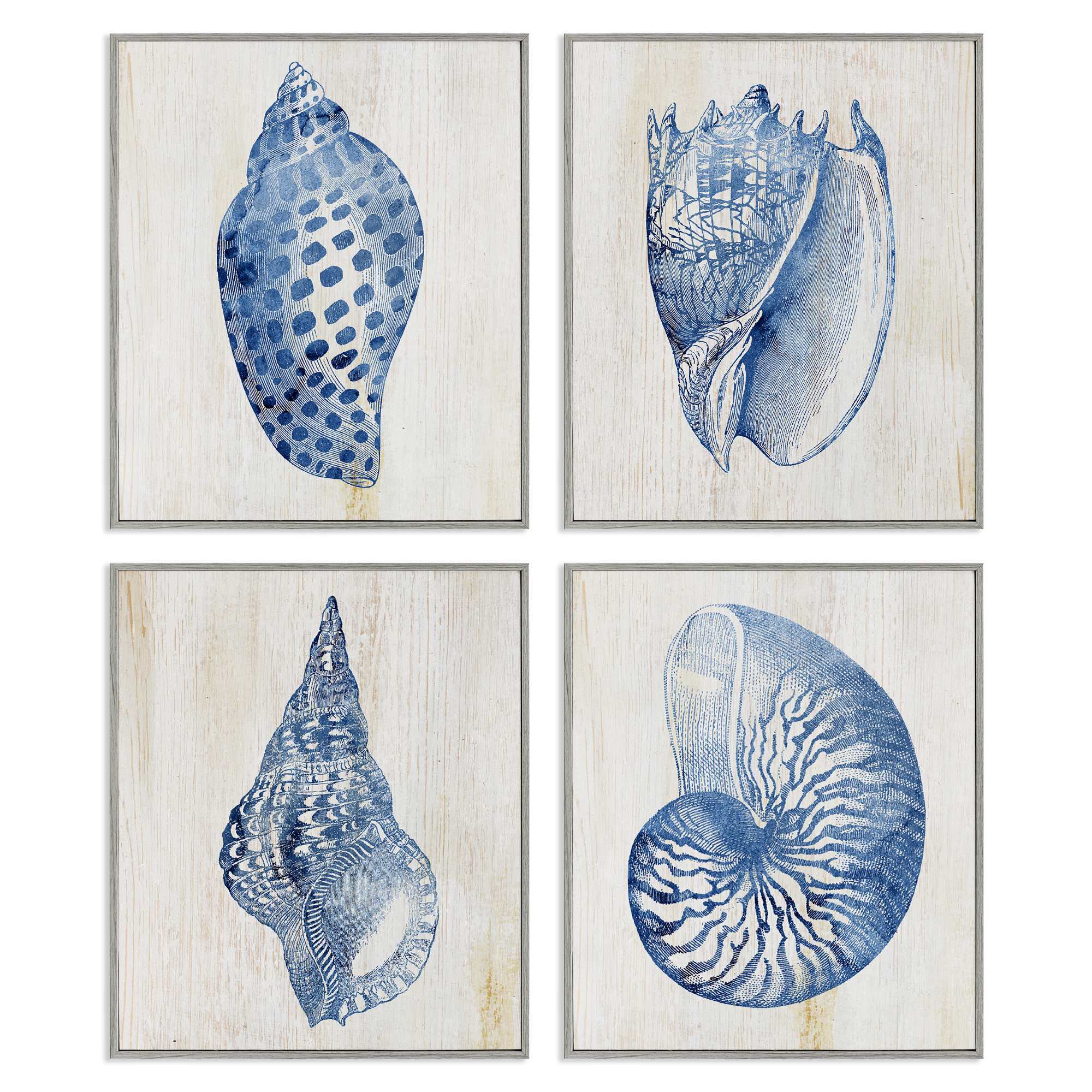 Stupell Industries A4-255-GFF-4PC-16X20 Blue Seashells on Beige 4 Piece Gray Framed Giclee Art Set By Susan Arnot 16 x 20