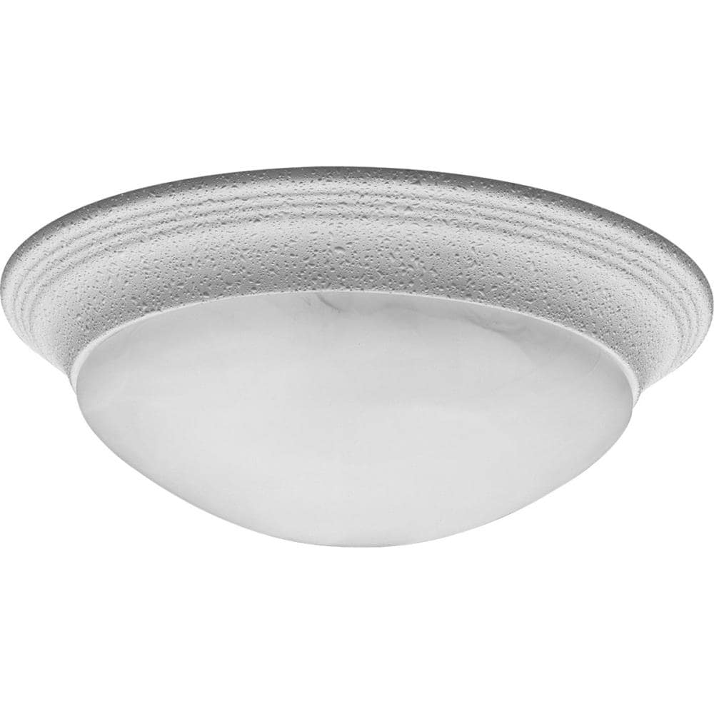 Progress Lighting Alabaster Glass 2 Light 14 In White Led Flush Mount Light In The Flush Mount 3739