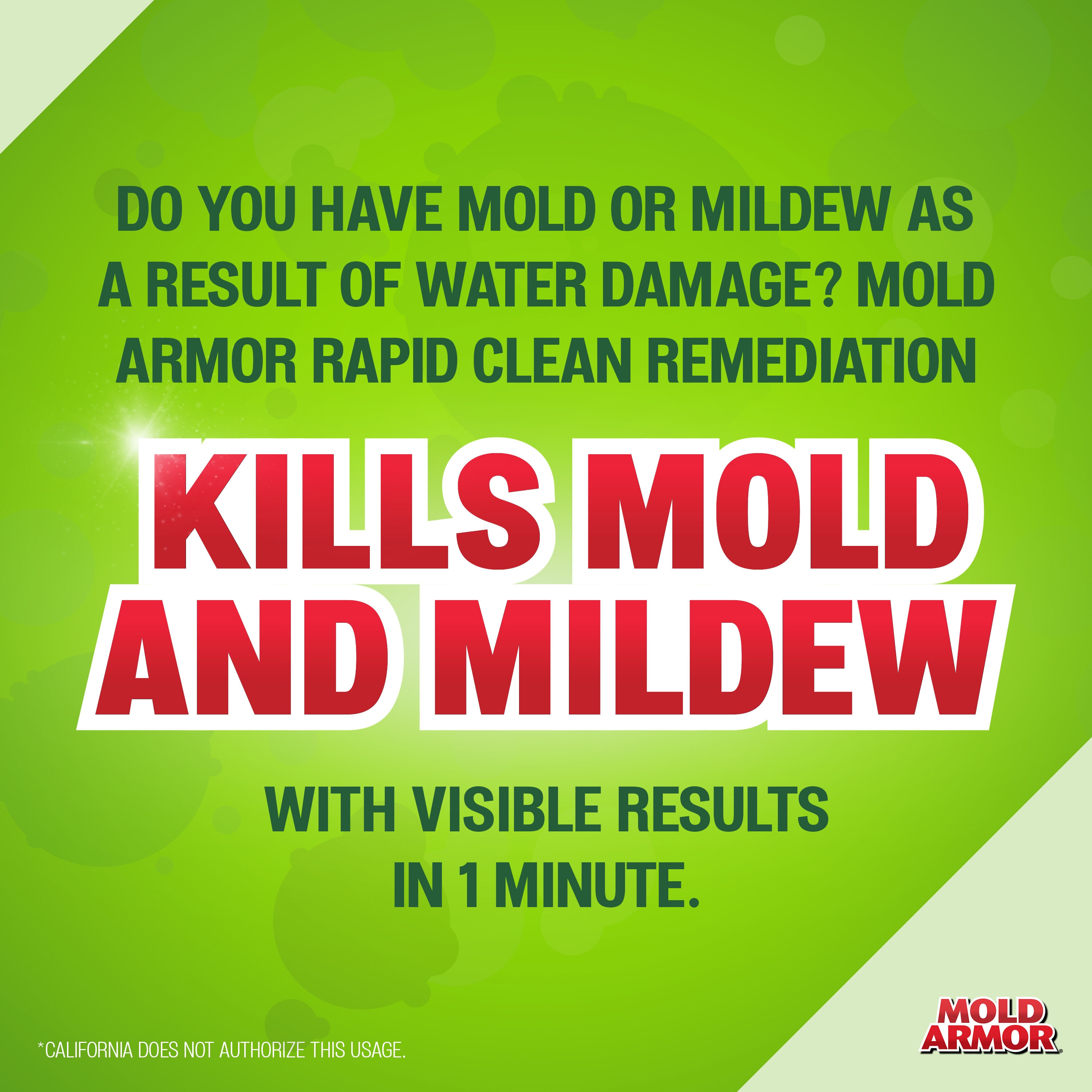 Mold Armor Rapid Clean Remediation Disinfectant Cleaner — 1-Gallon Plastic  Pouring Container, Model# FG591