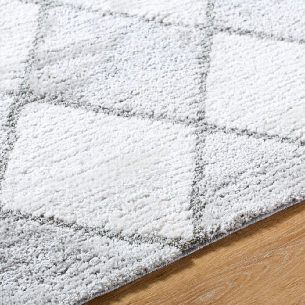 Livabliss DEL2307-71010 rugs - View #6