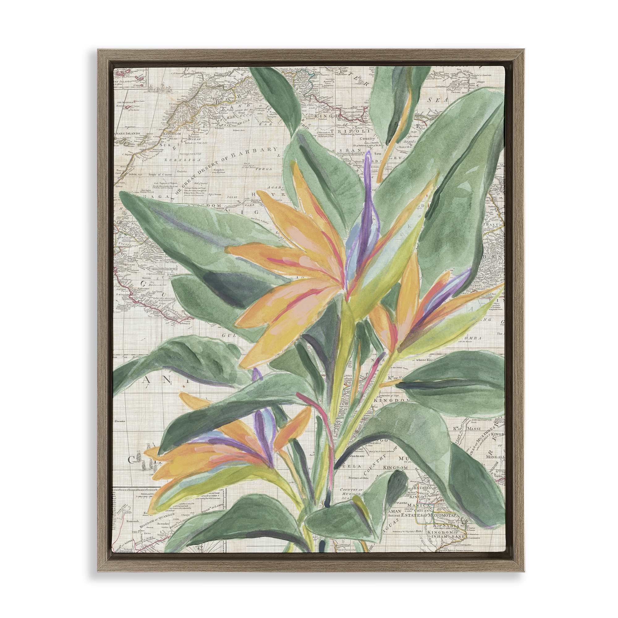 Stupell Industries BS-388-FFE-16X20 Tropical Flower over Map Floating Frame design by June Erica Vess