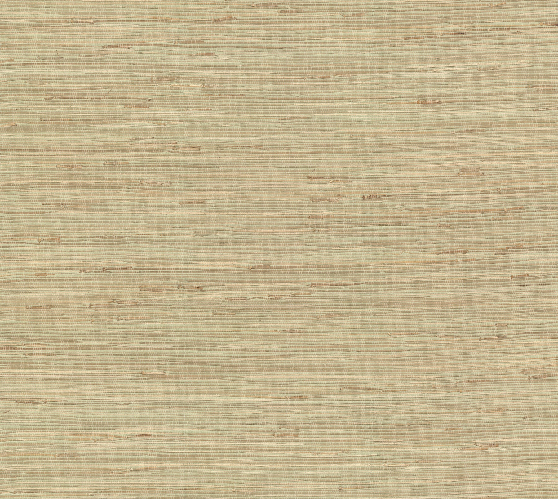 York Wallcoverings NZ0780 Grasscloth Book 72-sq ft Green Paper Textured Grasscloth Unpasted Wallpaper