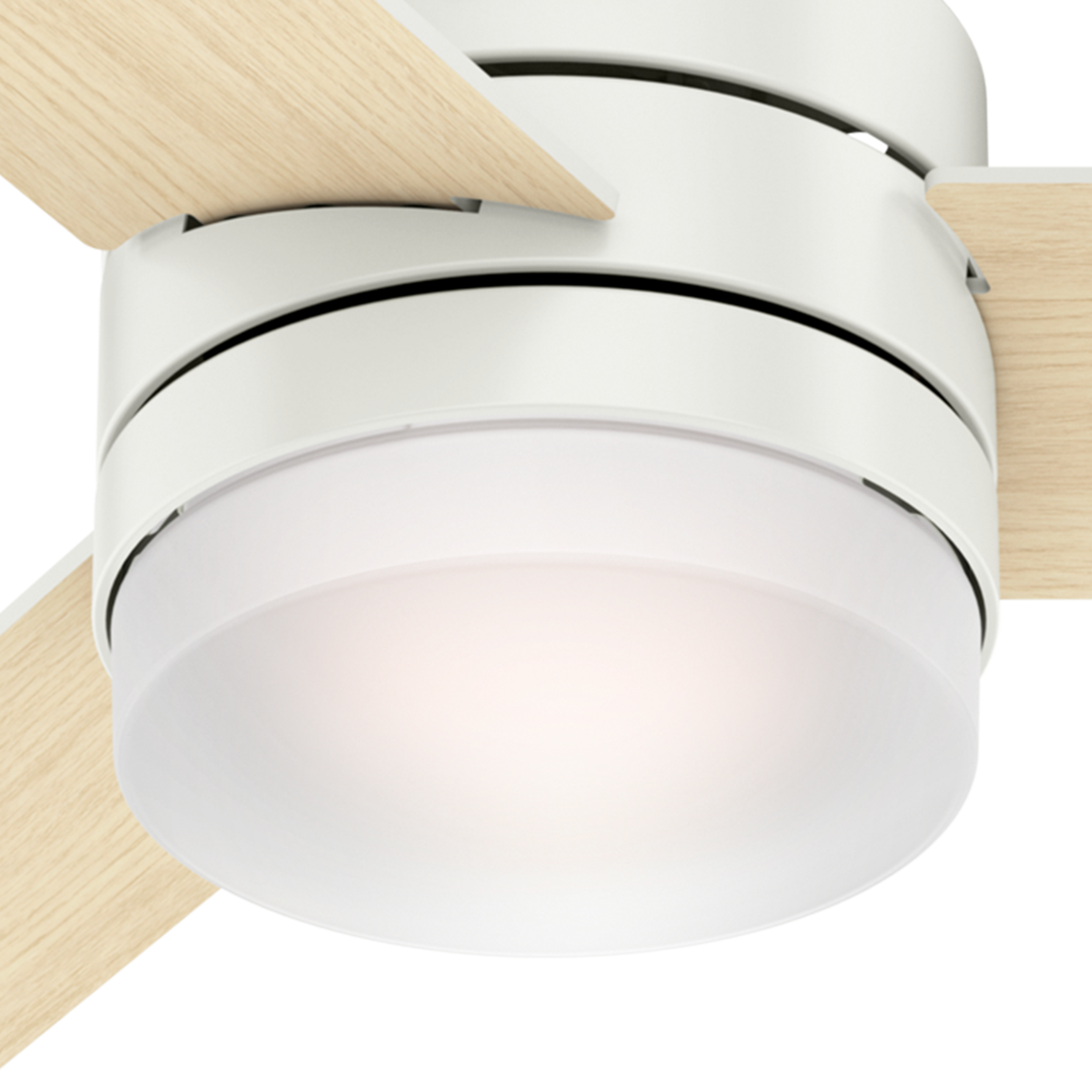 Hunter 59594 Ceiling-Fans - View #5