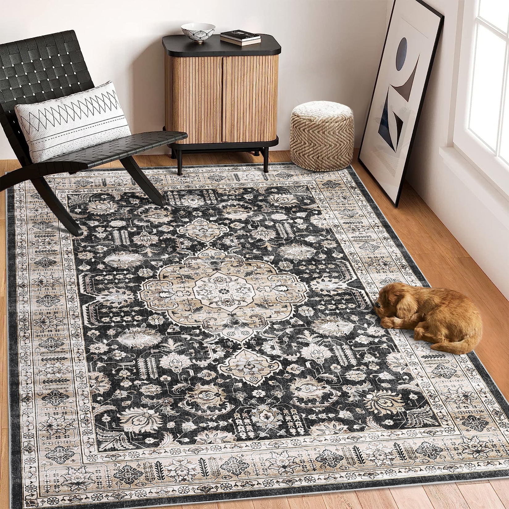 Assile ASRUG26820196P43U rugs - View #3