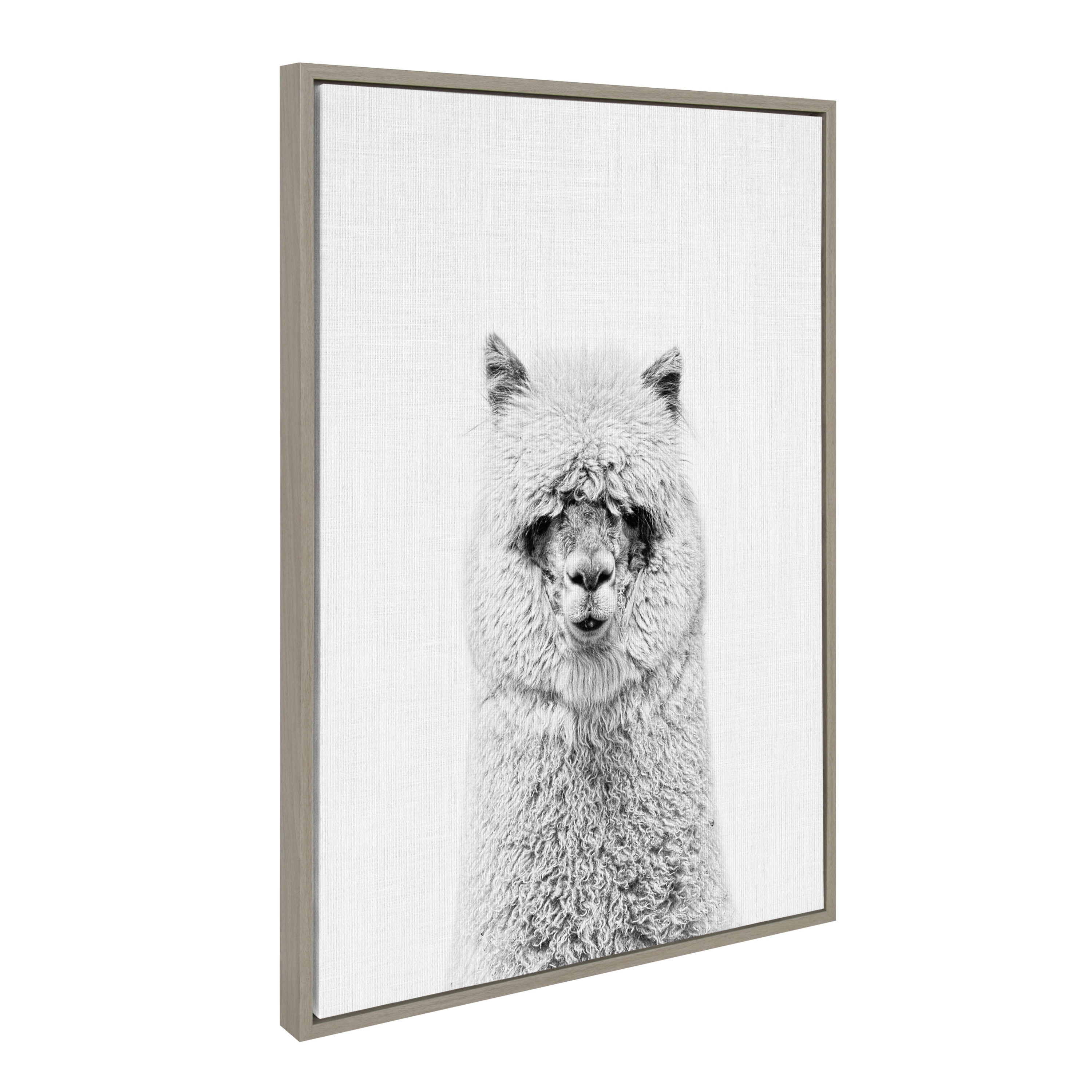 Kate and Laurel Hairy Alpaca Tai Prints Gray Framed 33-in H x 23-in W Animals  Print on Canvas in the Wall Art department at