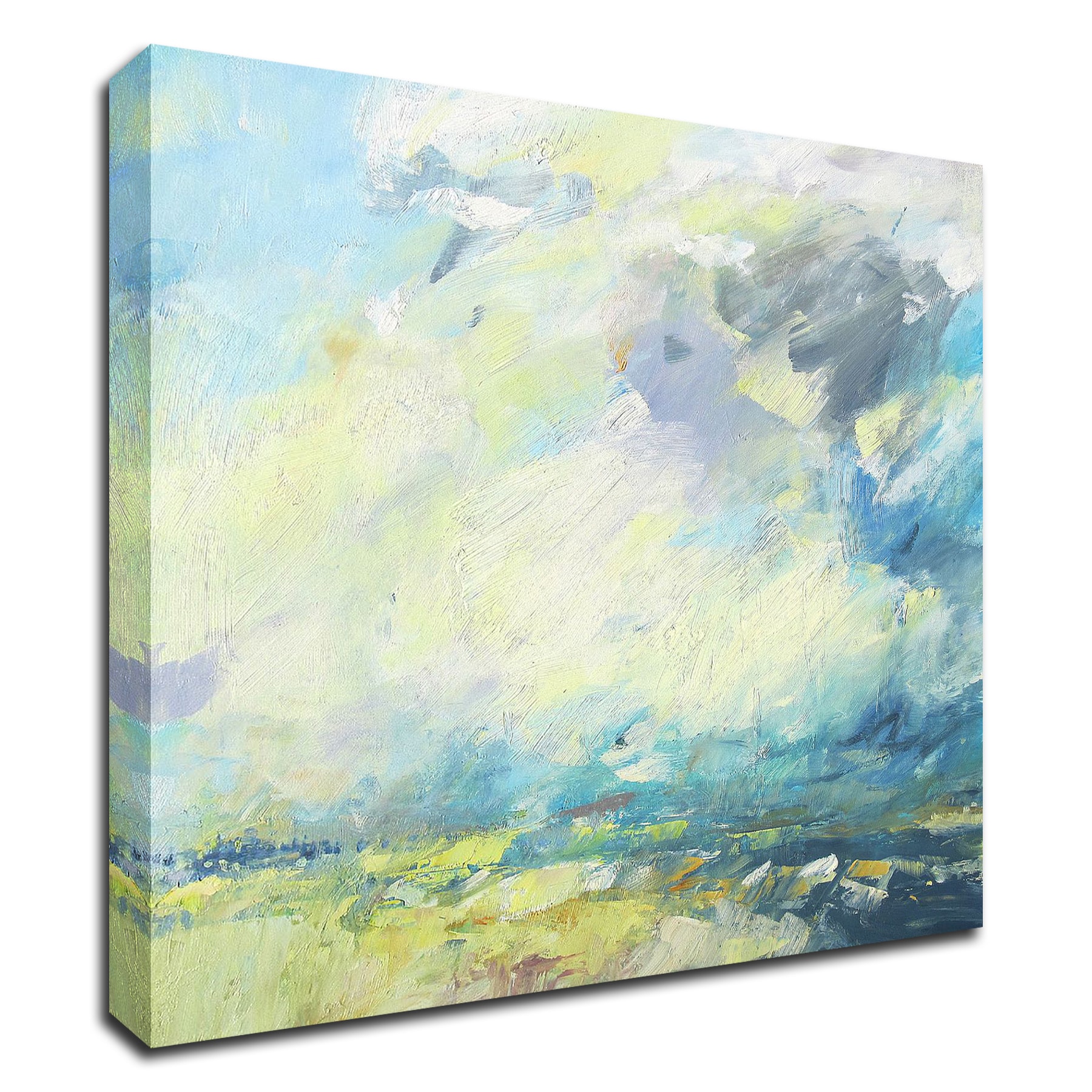 Tangletown Fine Art 16-in H x 16-in W Landscape Print on Canvas in the ...