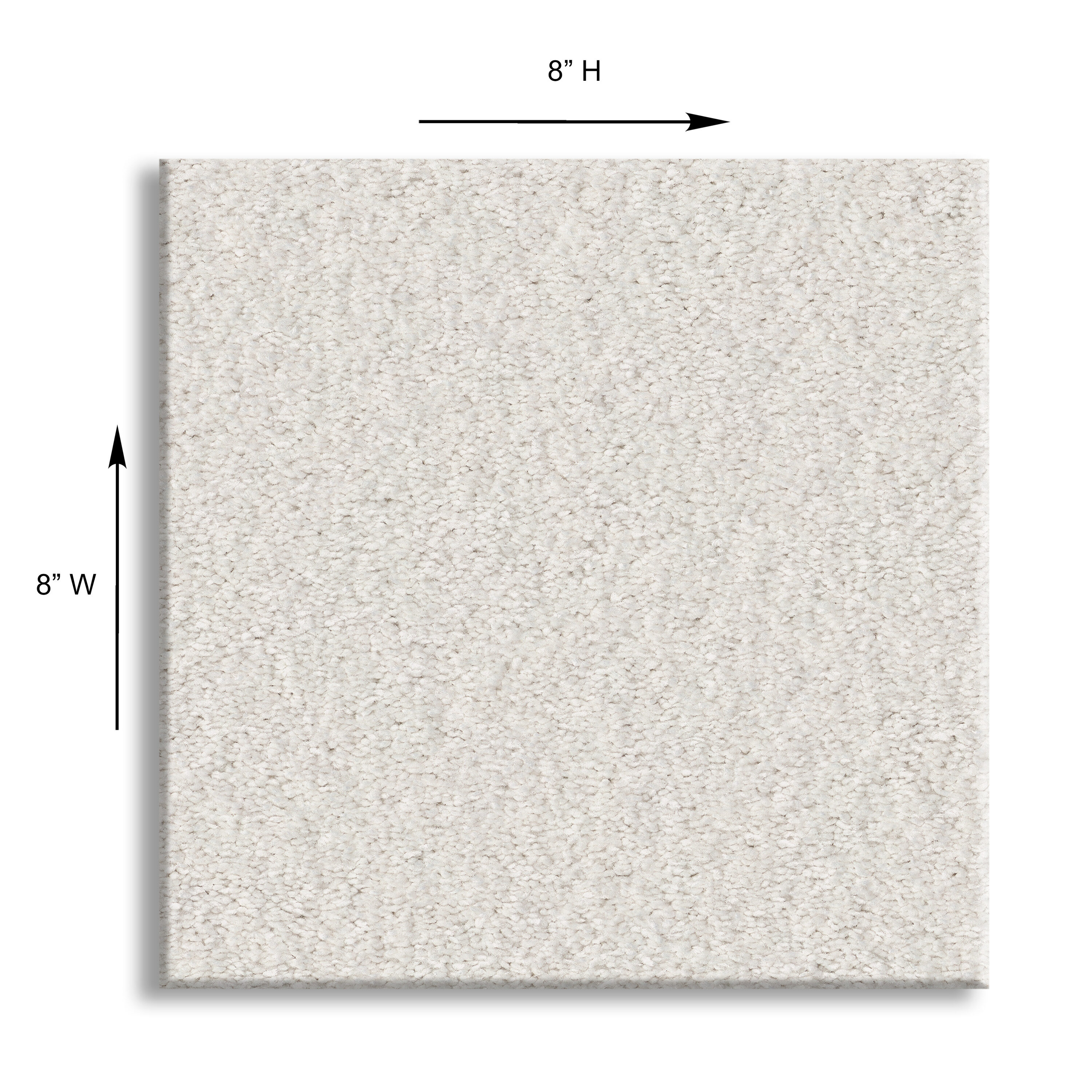 STAINMASTER 7L870 - 100 - SAMP Carpet-Samples - View #5