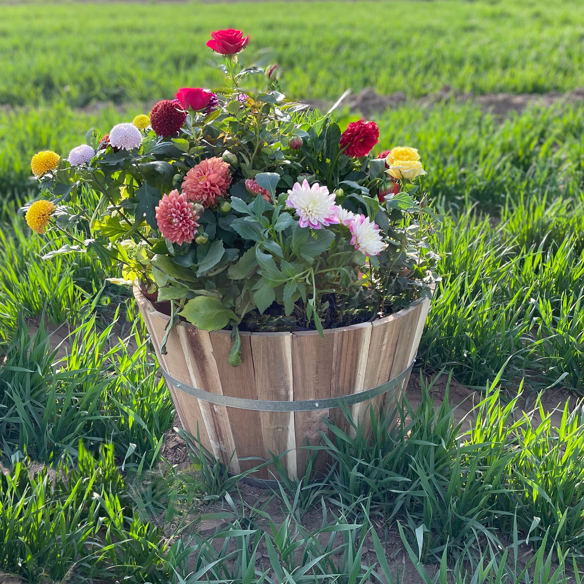 Style Selections B3028A-D Planter-Window-Box - View #7