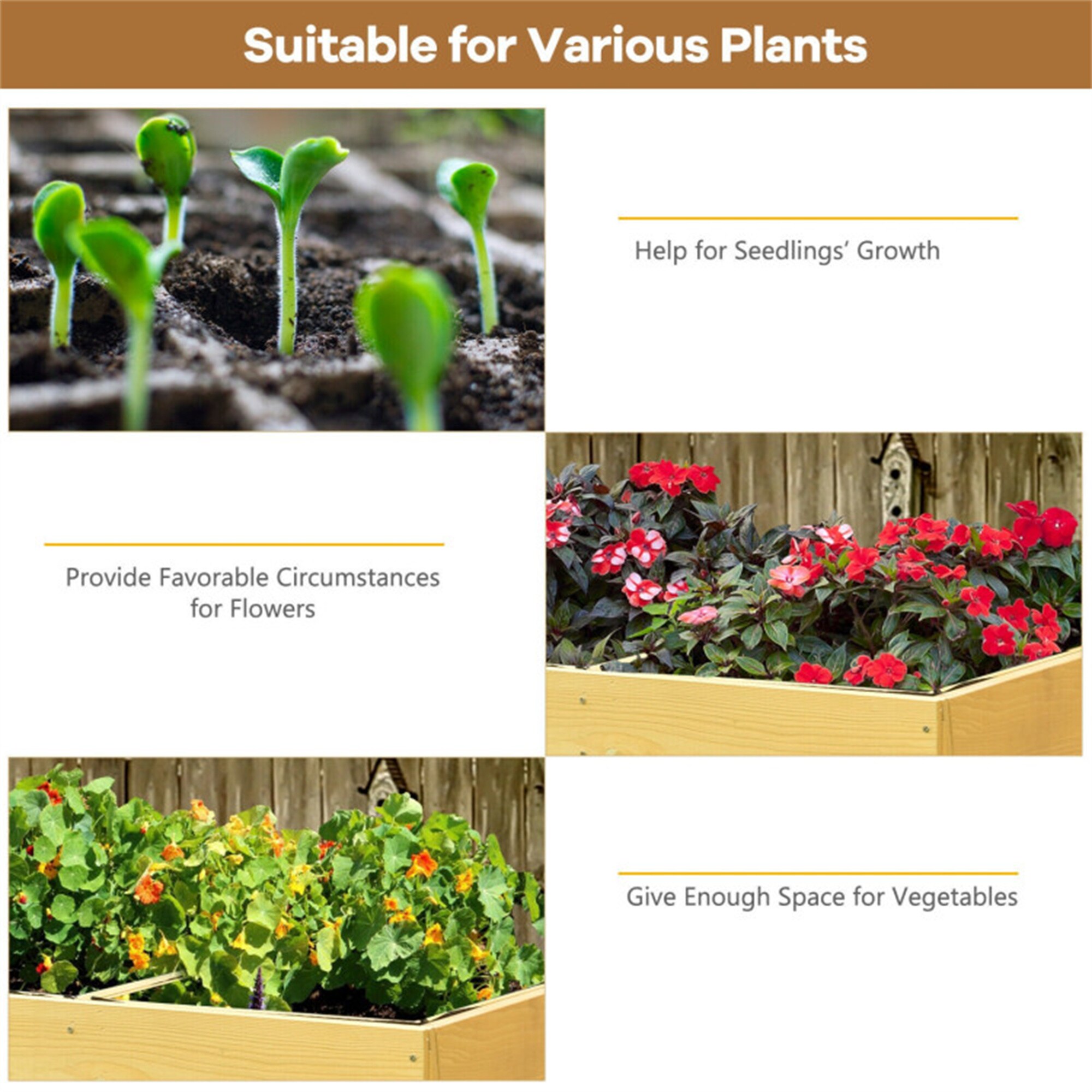 BABOOM BOM-GT3538-CO Raised-Planter-Boxes - View #9