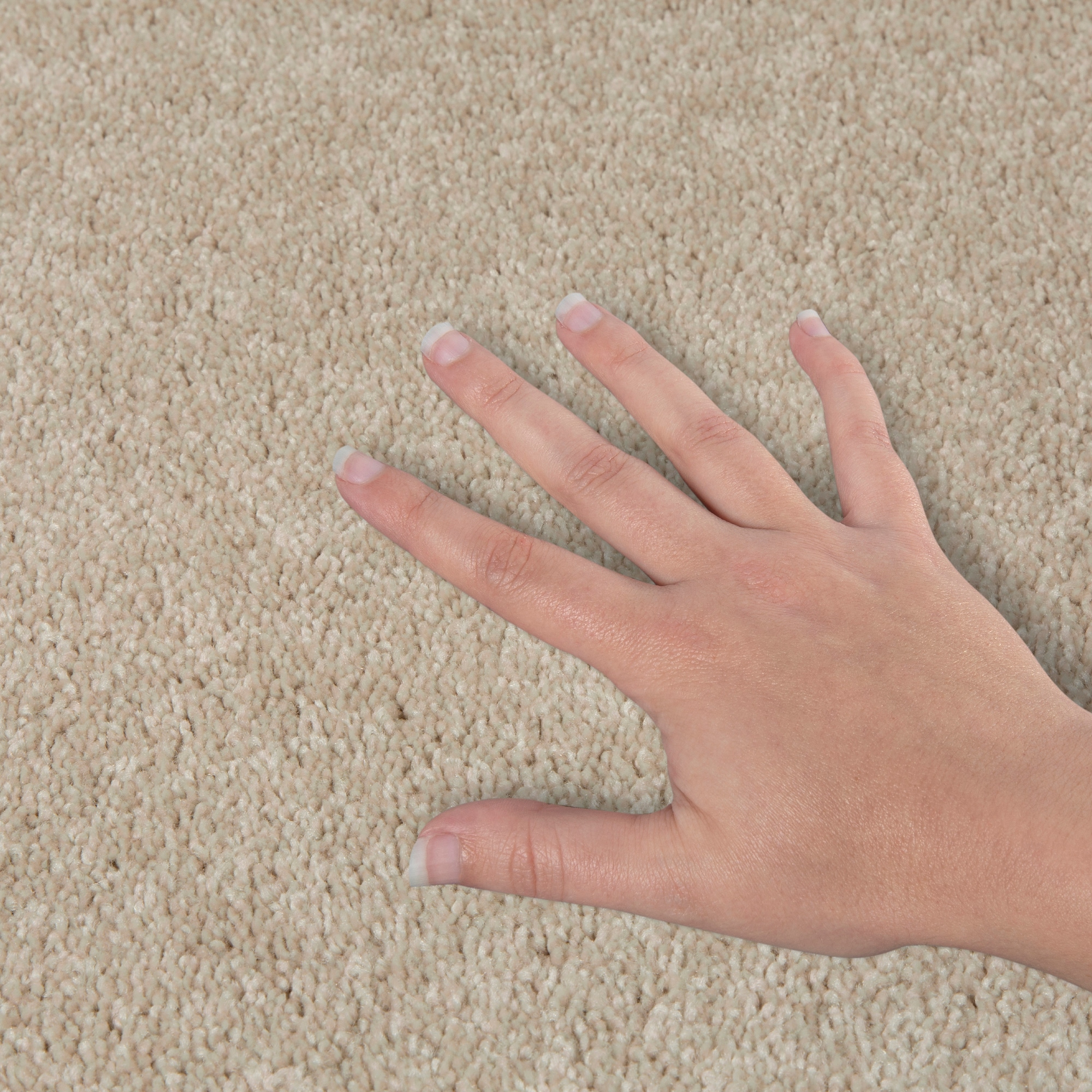 STAINMASTER PetProtect SS021-L012-0808 Carpet-Samples - View #4