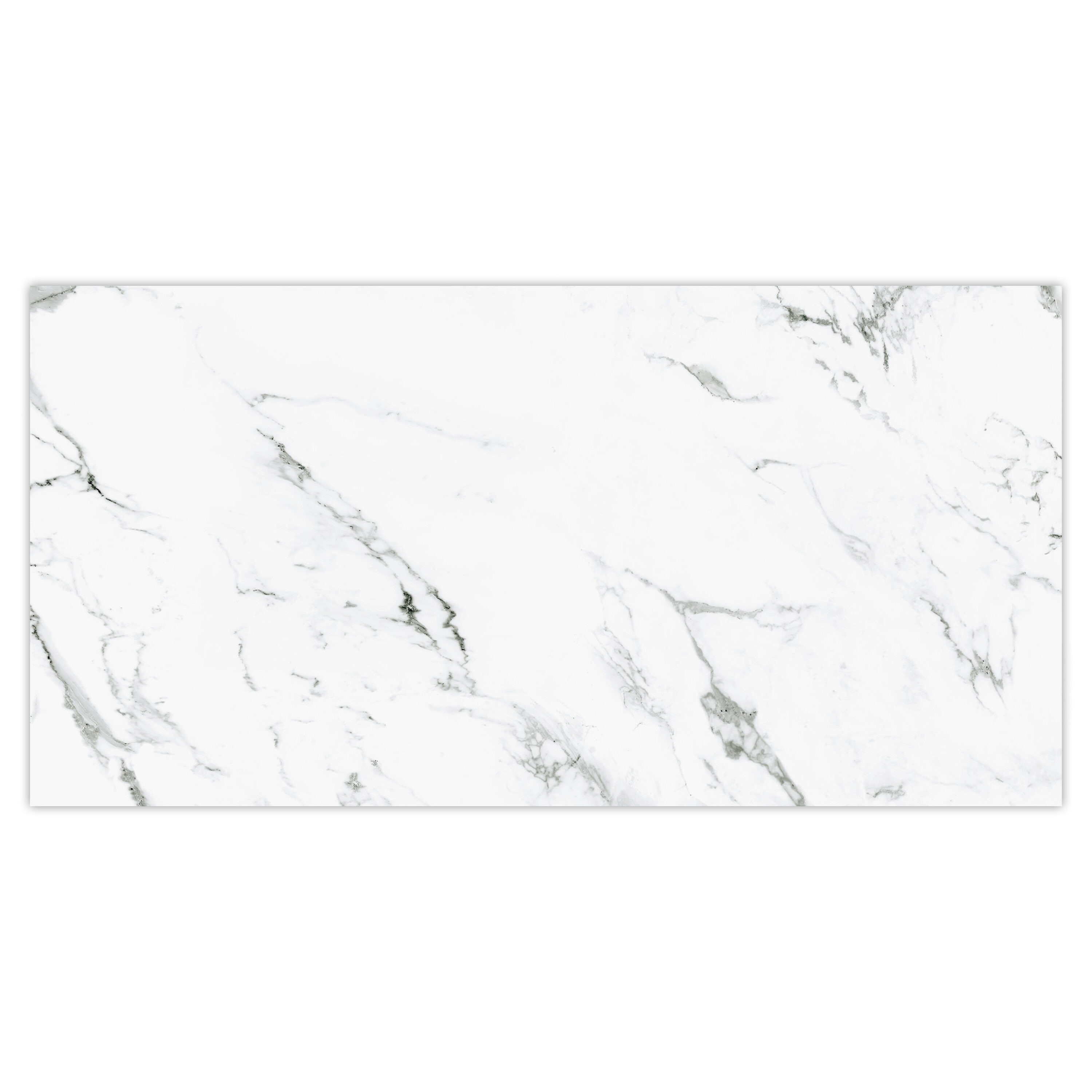 Affinity Tile S1FCD13TC Sample - Timeless Calacatta 12-in x 13-in Matte Porcelain Marble look Floor and Wall Tile