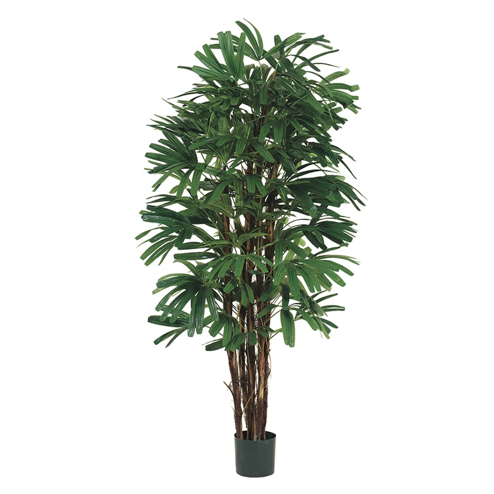 Allstate Floral LPR315-GR/TT 60-in Two Tone Green Indoor Floor Raphis Artificial tree