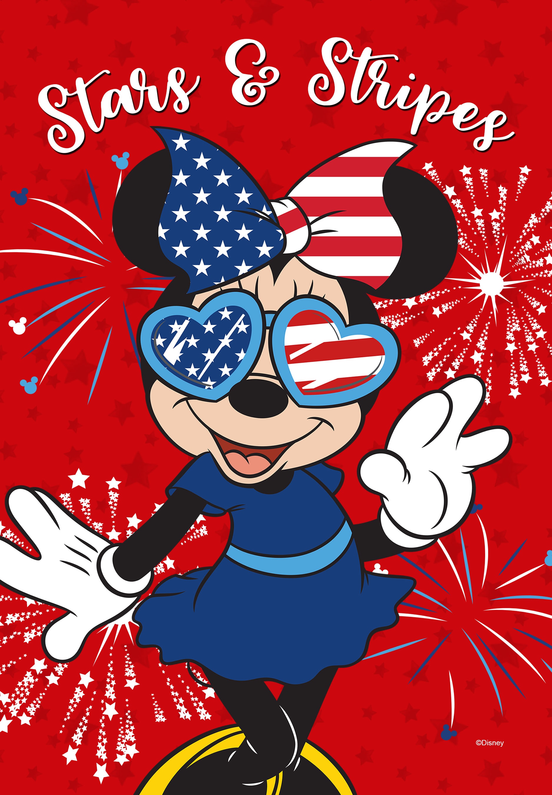 Disney 10-1210-92F-01 Decorative-Banner-Flags - View #2