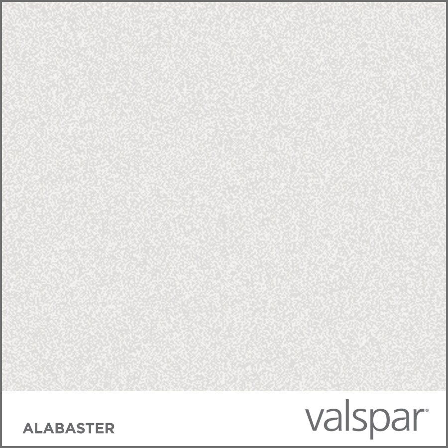 Valspar Flat Alabaster Stone Sandstone Spray Paint and Primer In