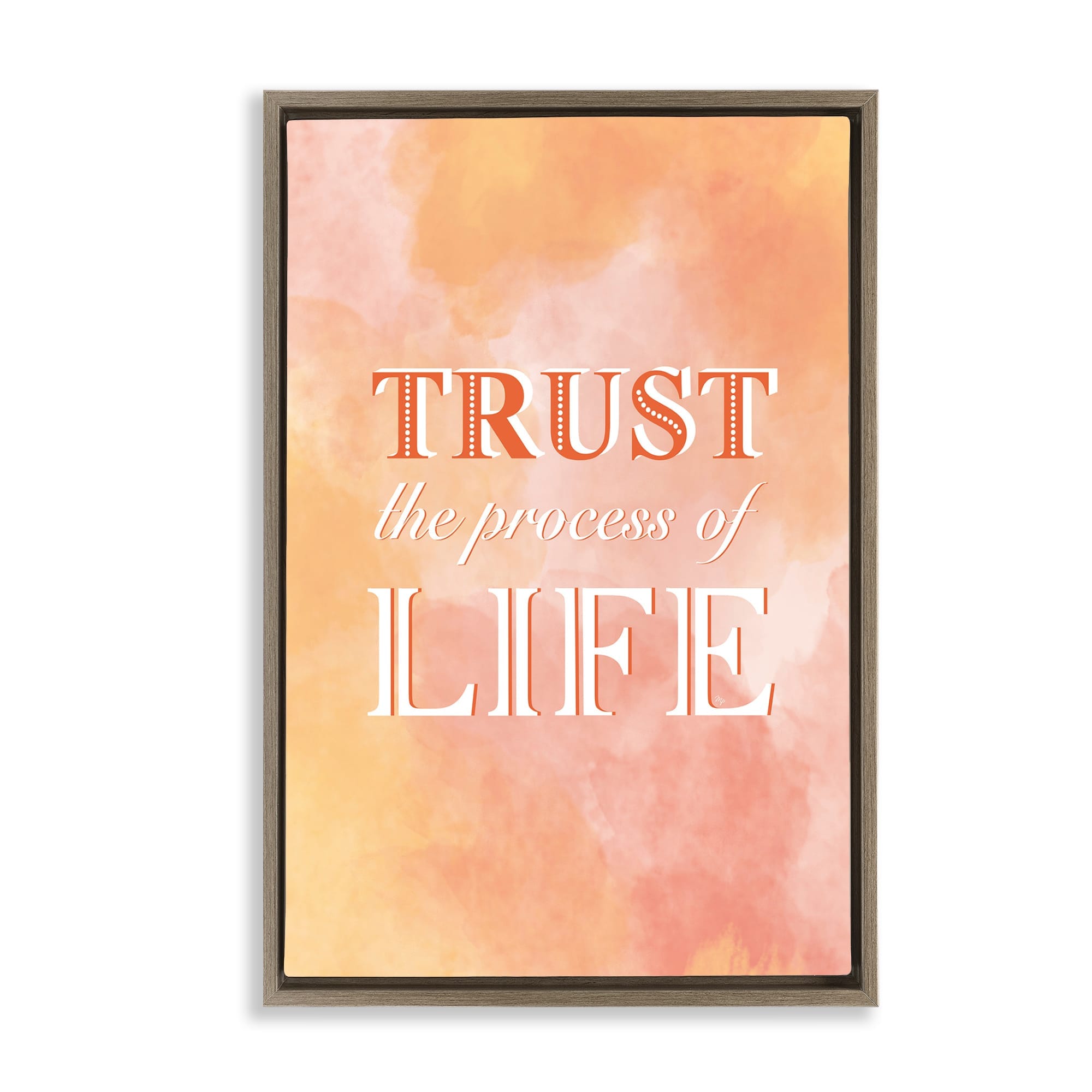 Stupell Industries BS-641-FFE-20X30 Trust The Process Of Life Brown Framed Floater Canvas Wall Art By Martina Pavlova 21 x 31