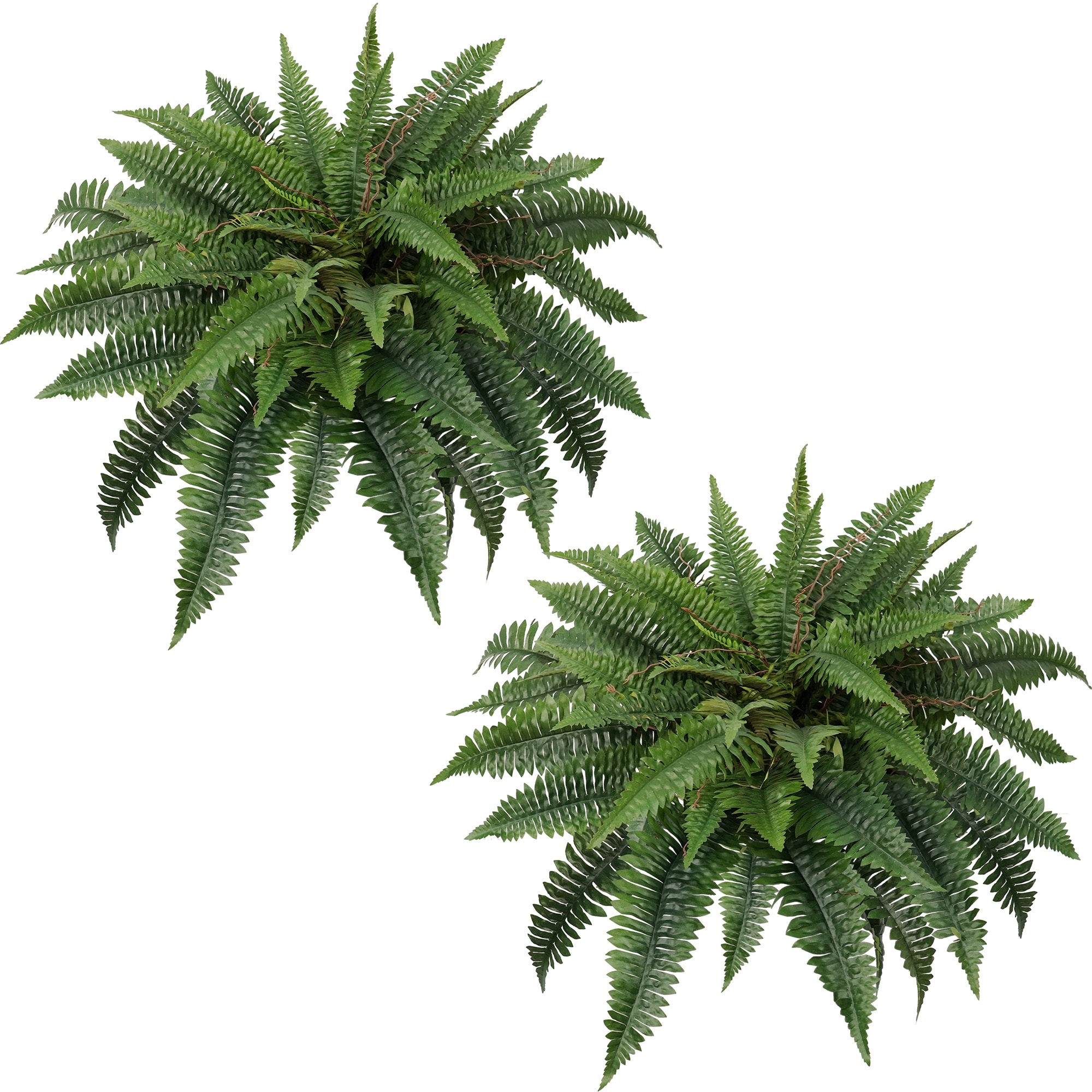 Vitalismo 31.5-in 38 Branches Green Indoor/Outdoor Hanging Boston Fern Artificial Plant 2pcs UV Resistant Faux Hanging Fern Bush Plants for Porch Patio Balcony Home Decor No Maintenance