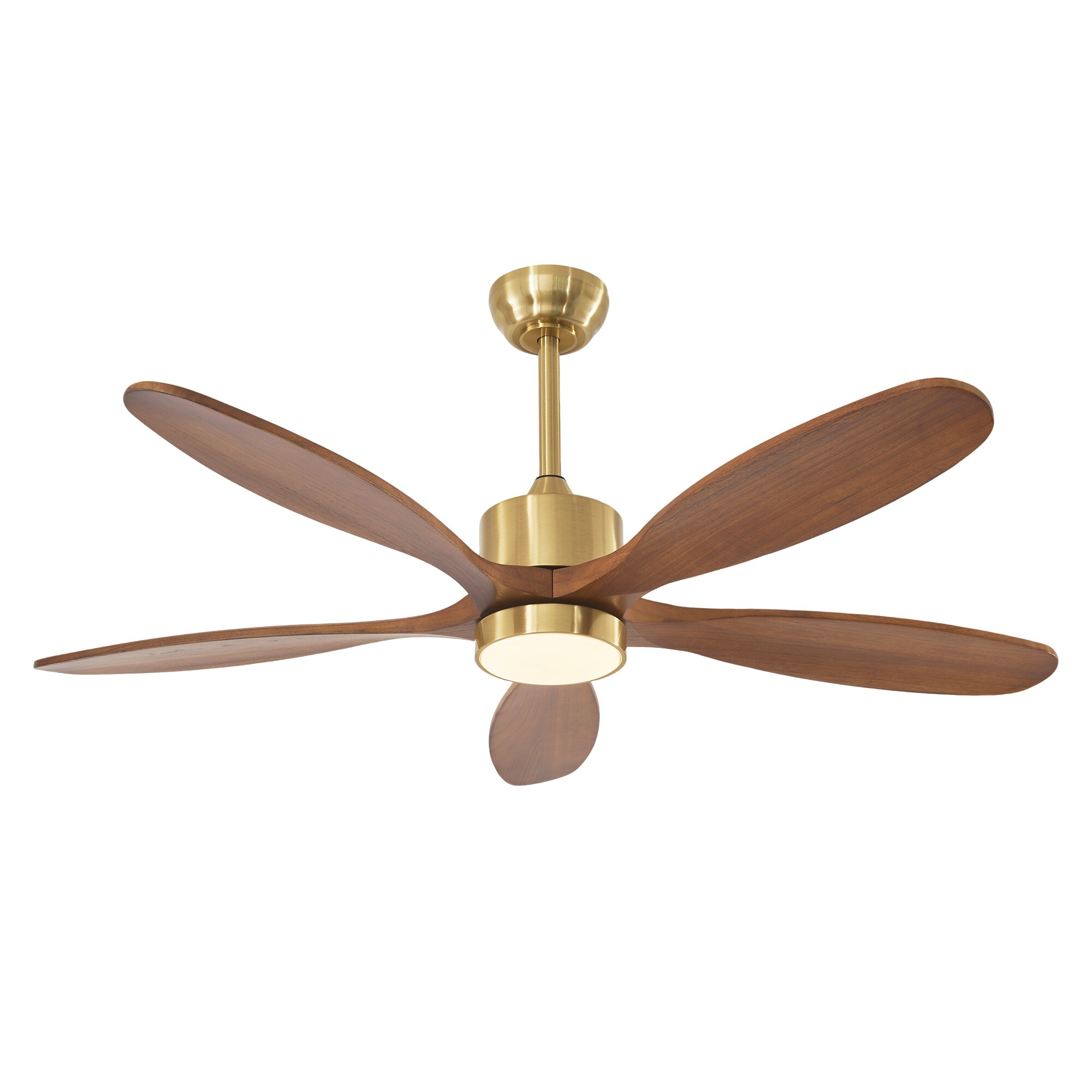 RCCFBHM FSSNCR9906 Ceiling-Fans - View #4