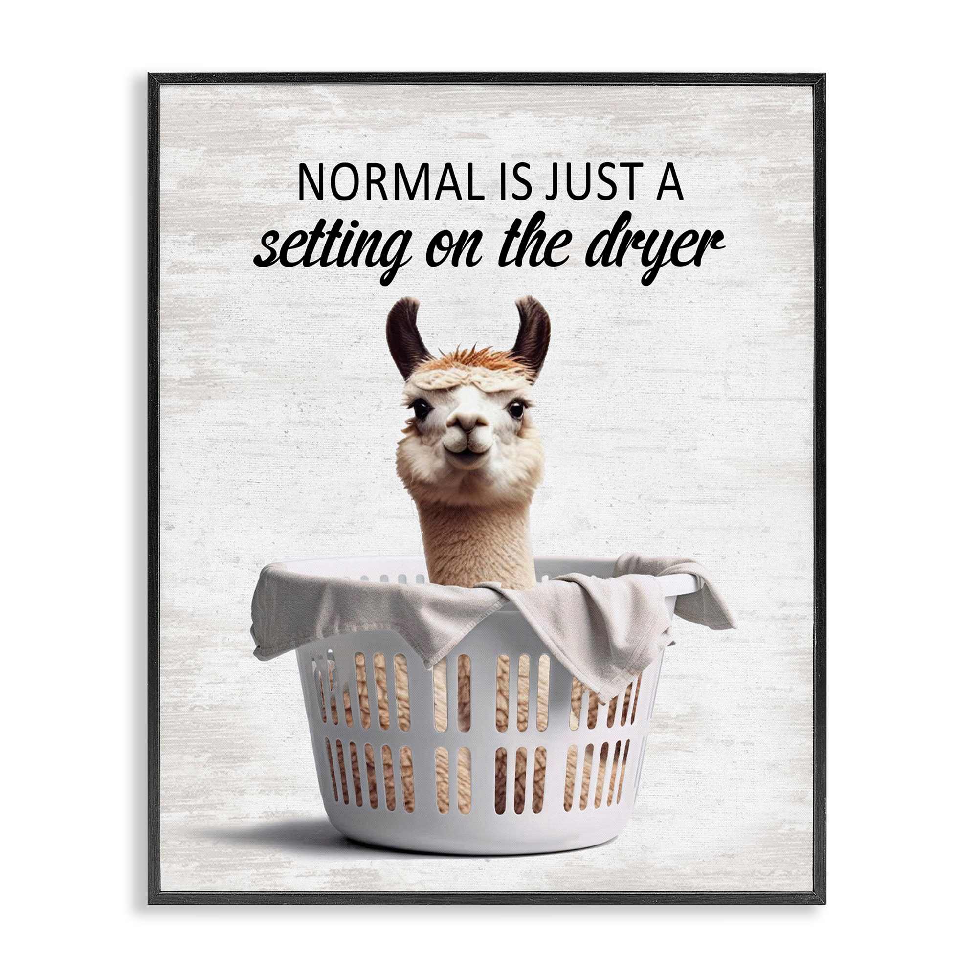 Stupell Industries BS-855-FR-24X30 Funny Normal Dryer Quote Black Framed Giclee Art By Lettered and Lined 24 x 30