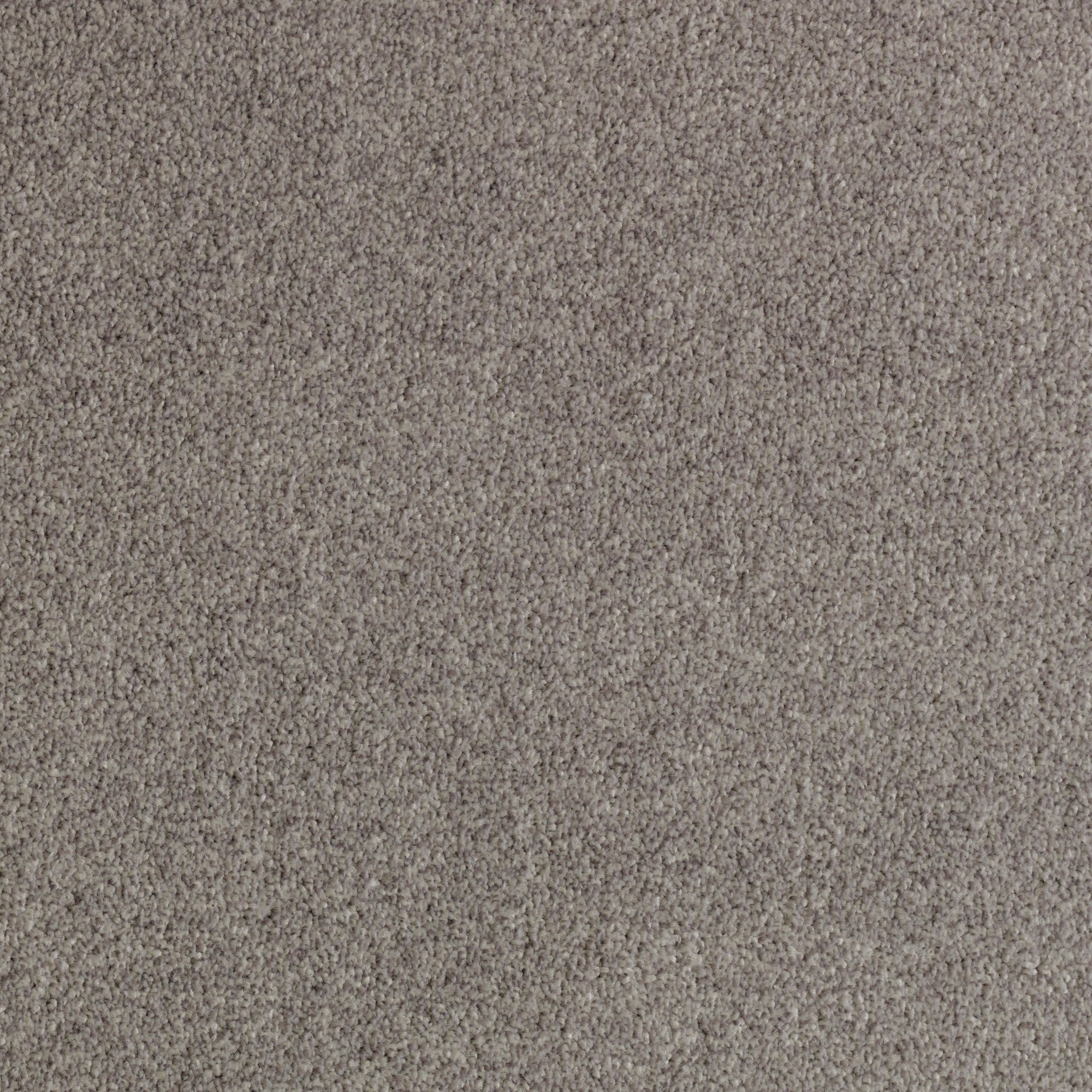 STAINMASTER LW194-L001-0808 (Sample) Durable Step I Bay waves Gray 34.3-oz sq yard Triexta Textured Indoor Carpet