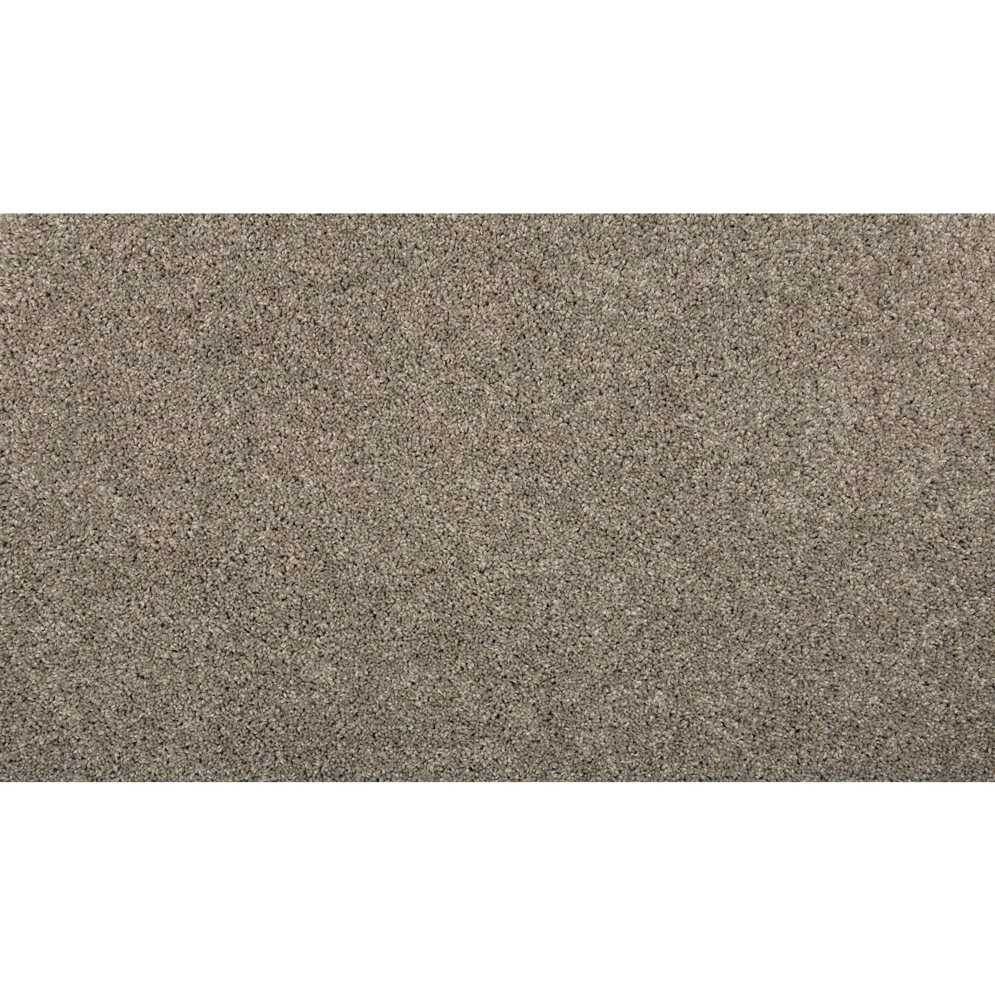 STAINMASTER SS013-L008-0808 (Sample) Memorable Touch II Battleship Gray 50-oz sq yard Solution-dyed polyester Textured Indoor Carpet