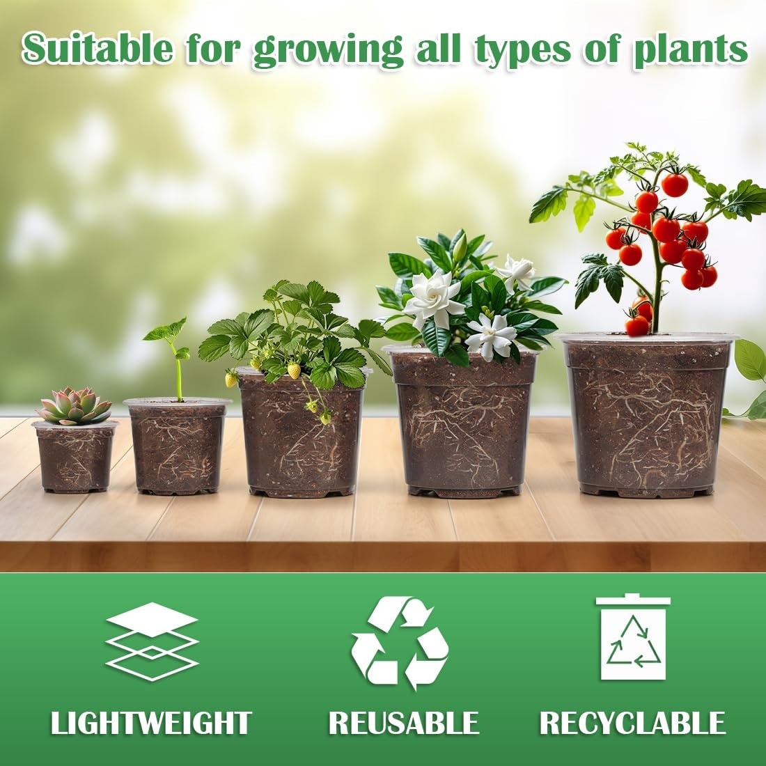 Adrinfly LAD0520D020 Planter-Window-Box - View #6
