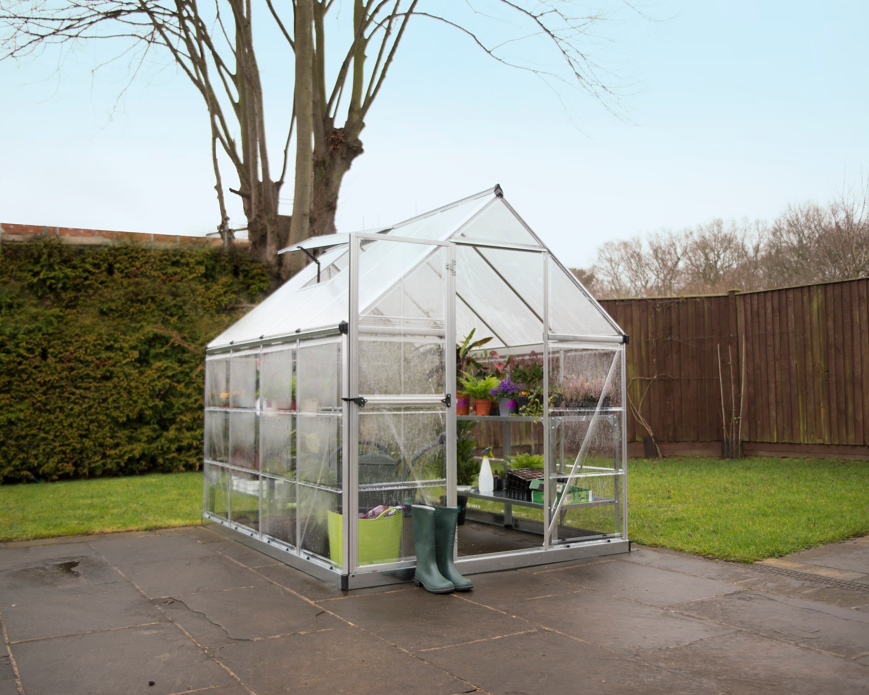 Palram Canopia 6' x 8' Silver Polycarbonate Aluminum Greenhouse