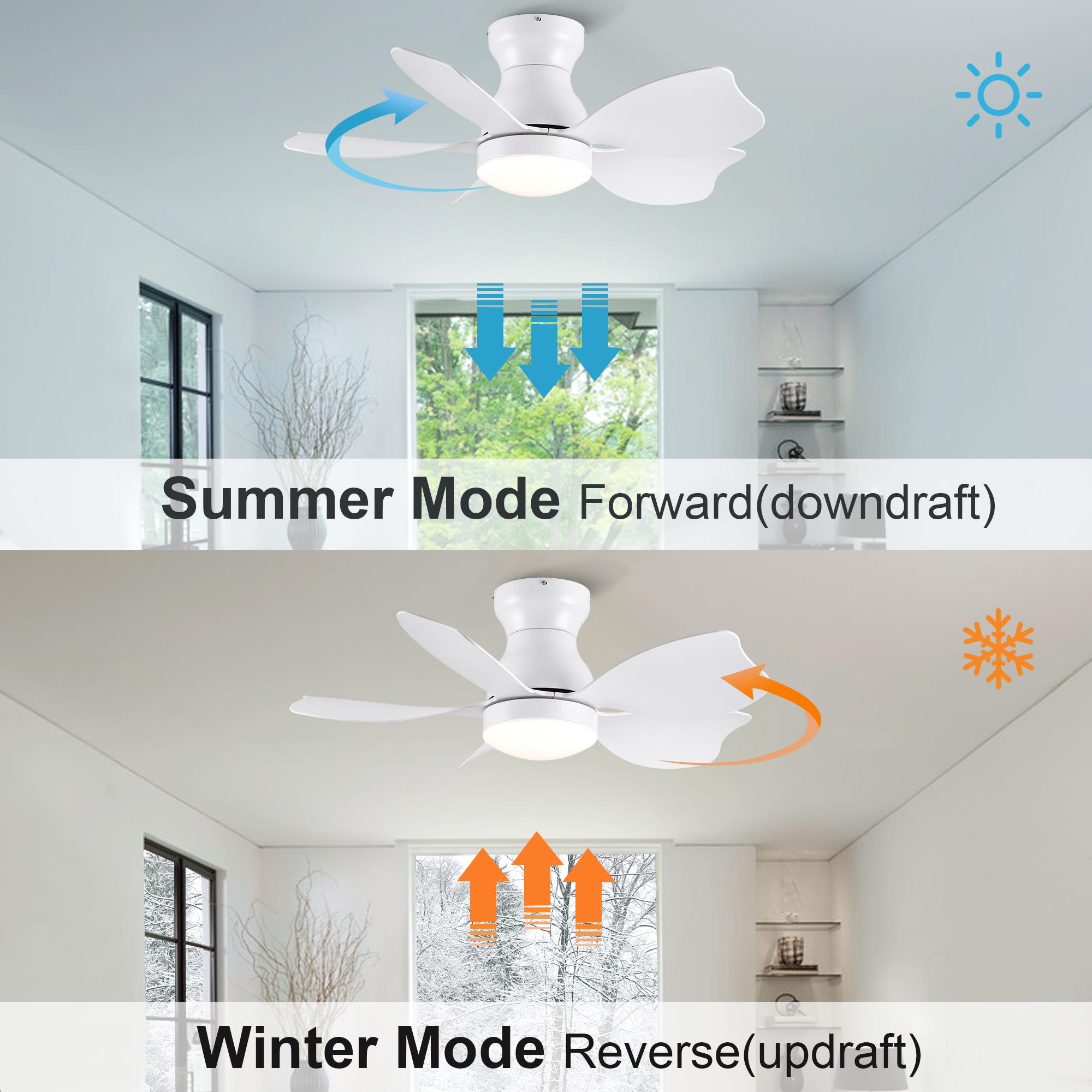 Bayfeve BFYH-3341-CF Ceiling-Fans - View #8
