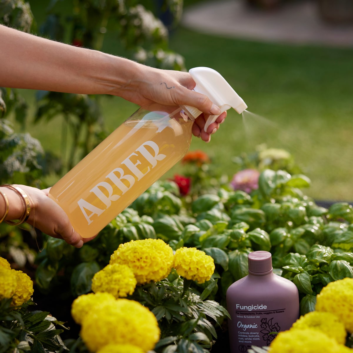 ARBER 1-331762-2 pesticides - View #5