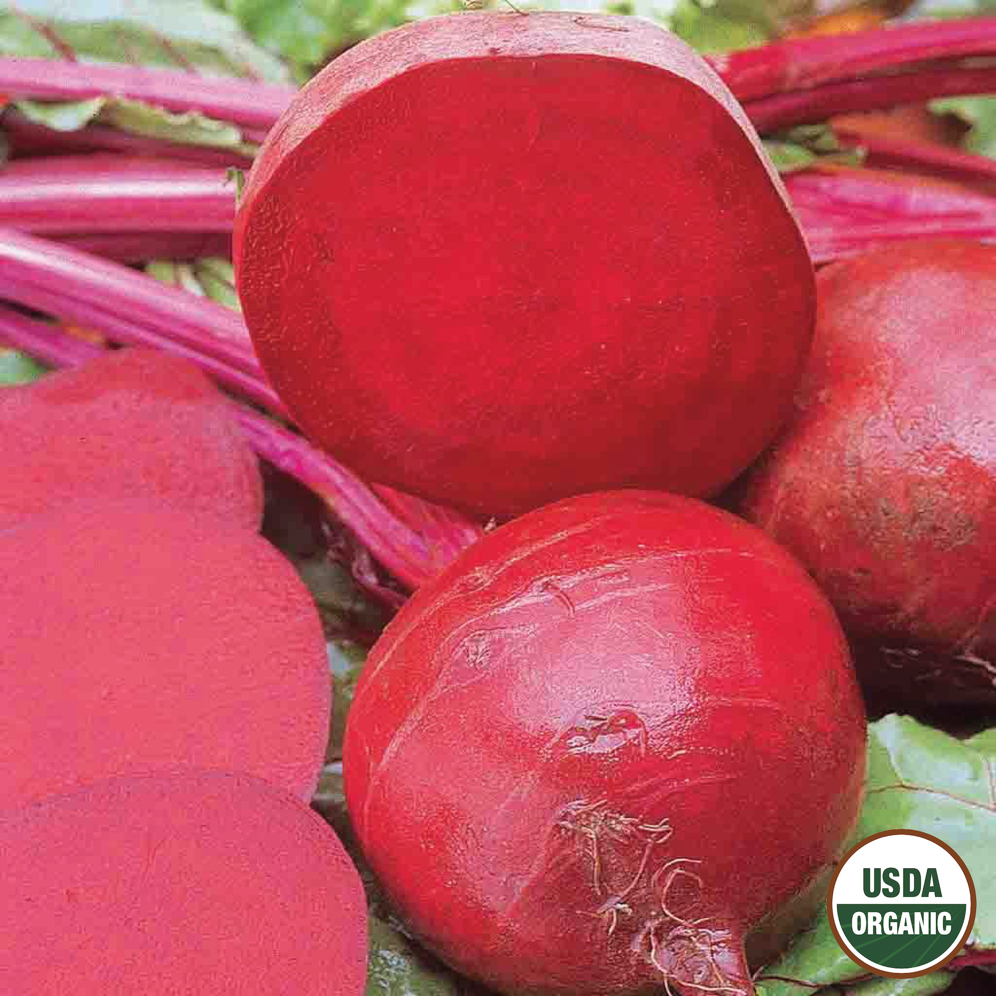 Ferry-Morse LC25.9712 Vegetable-Herb-Seeds - View #3