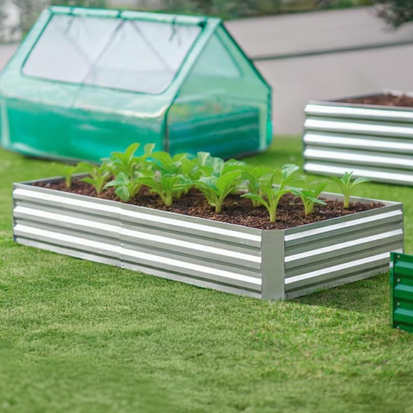 Encore Beets NOVA-L6E7UY3R5H Raised-Garden-Beds - View #4