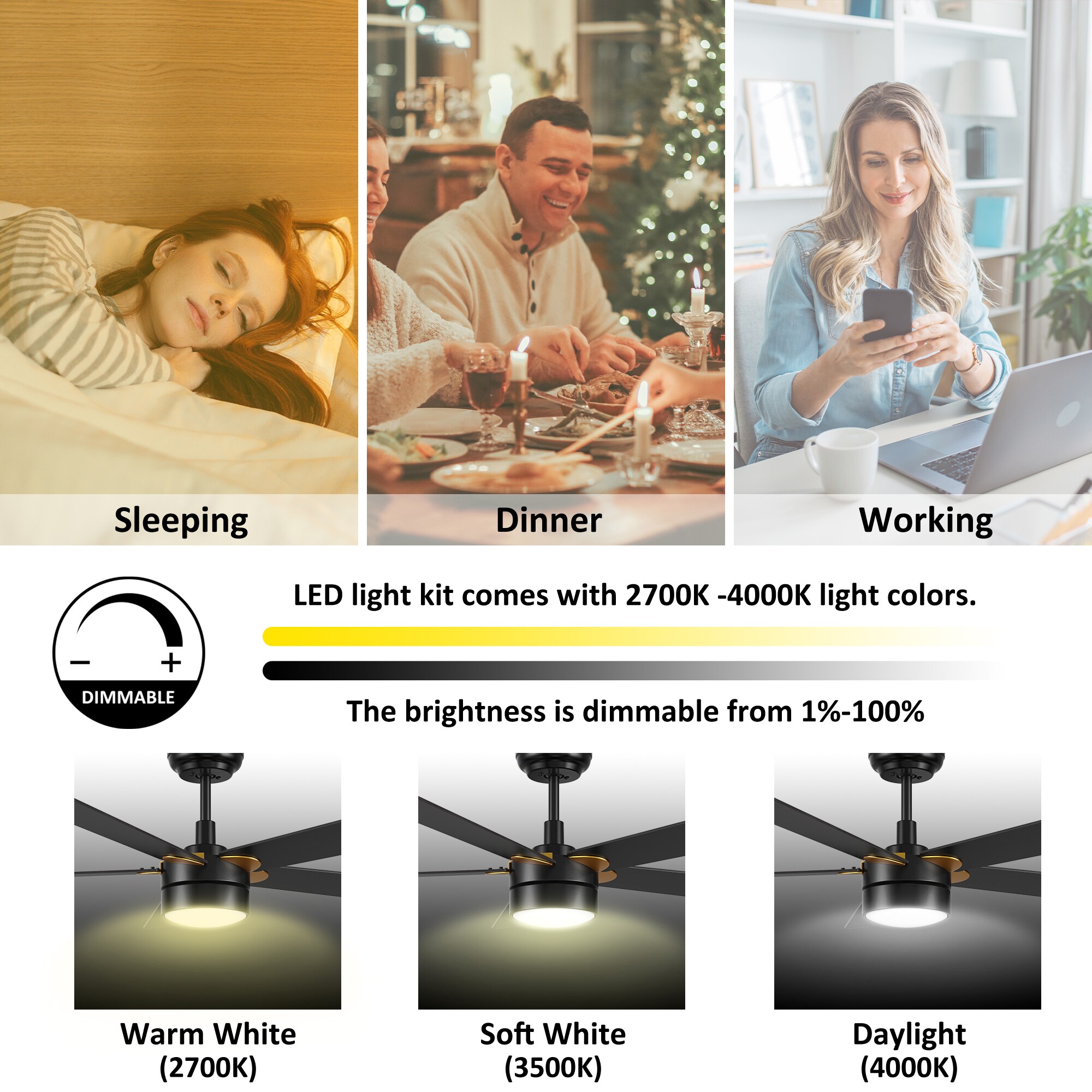 CARRO USA LS525E2-L11-B2-1G Ceiling-Fans - View #7