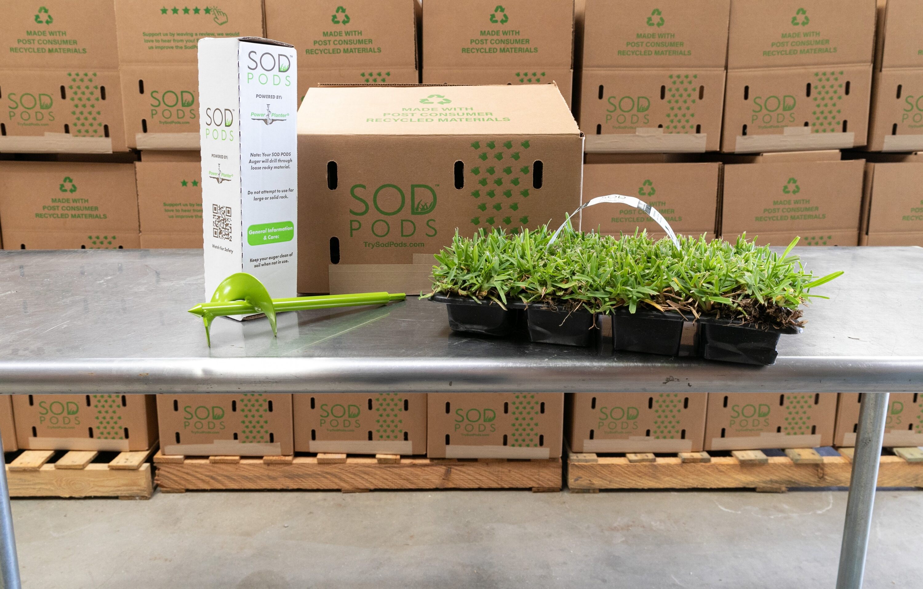 Bethel Farms BAUGT8SCIT64 sod - View #6
