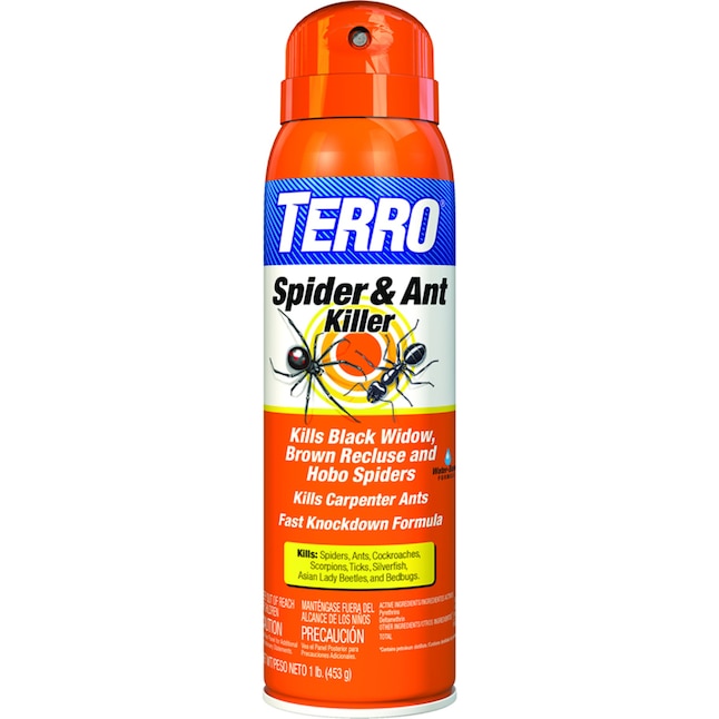 TERRO 16-oz Spider and Ant Insect Killer Aerosol in the Pesticides  department at