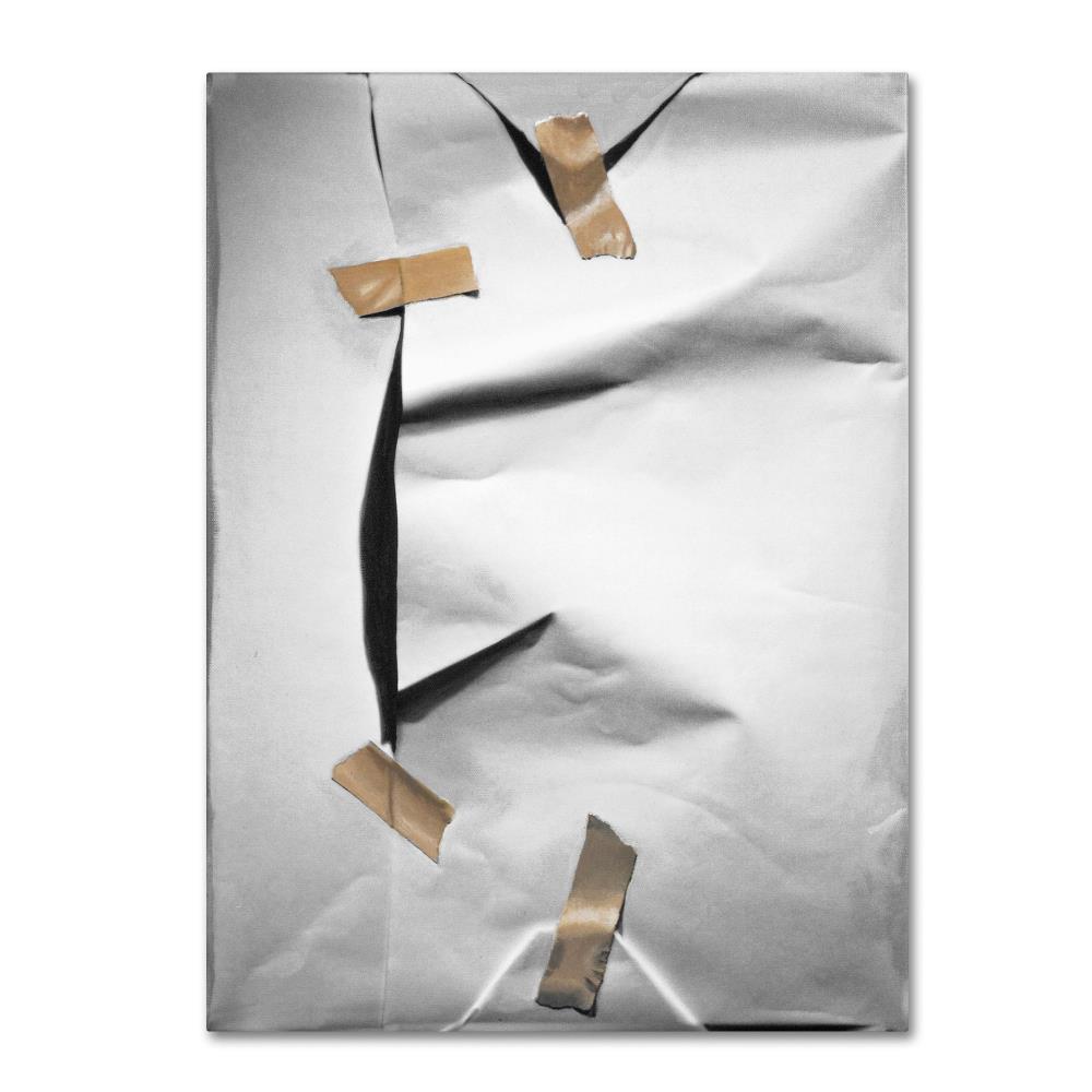 Trademark Fine Art RS895-C2432GG Framed 32-Inches H x 24-Inches W Novelty Canvas Print