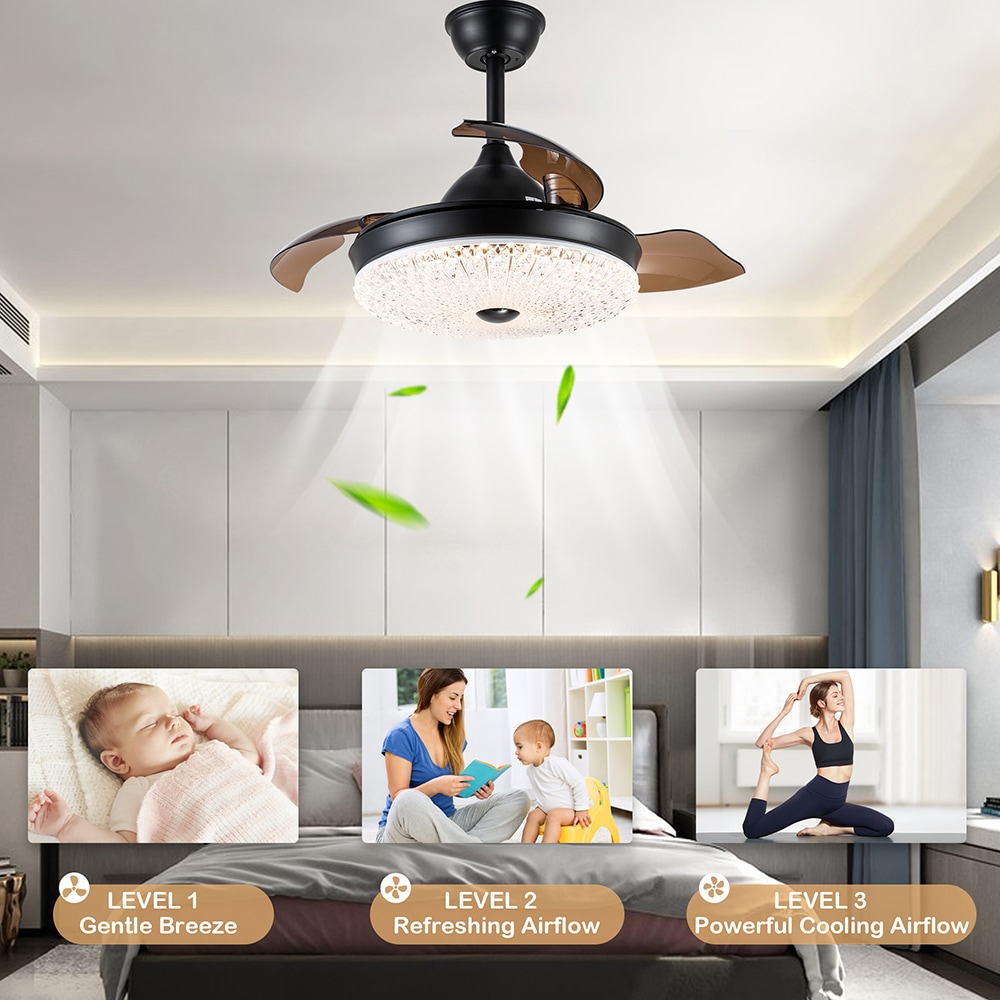 Cusp Barn BD3657-B Ceiling-Fans - View #3