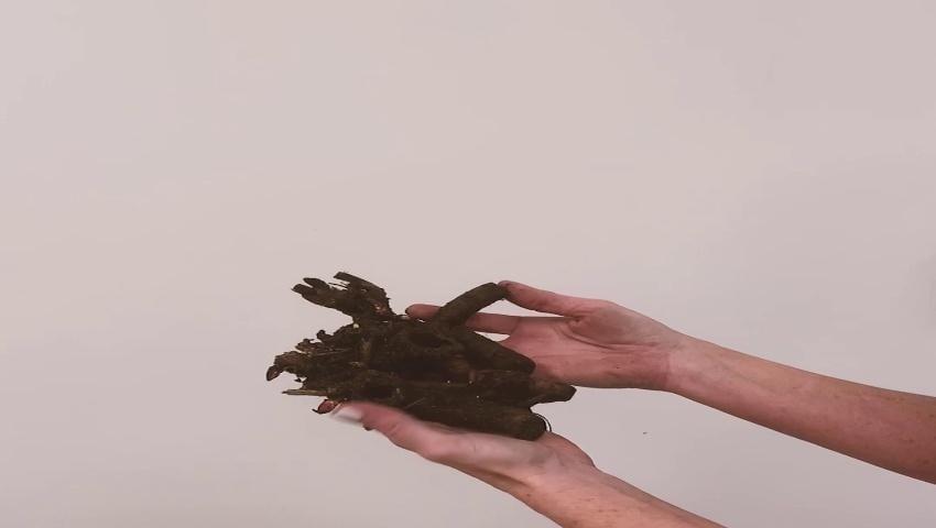 A thumbnail for the video