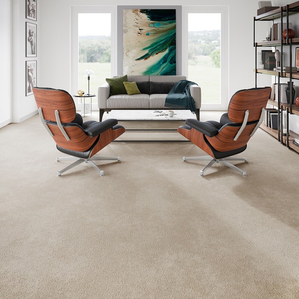 STAINMASTER PetProtect SS009-L002-0808 Carpet-Samples - View #5