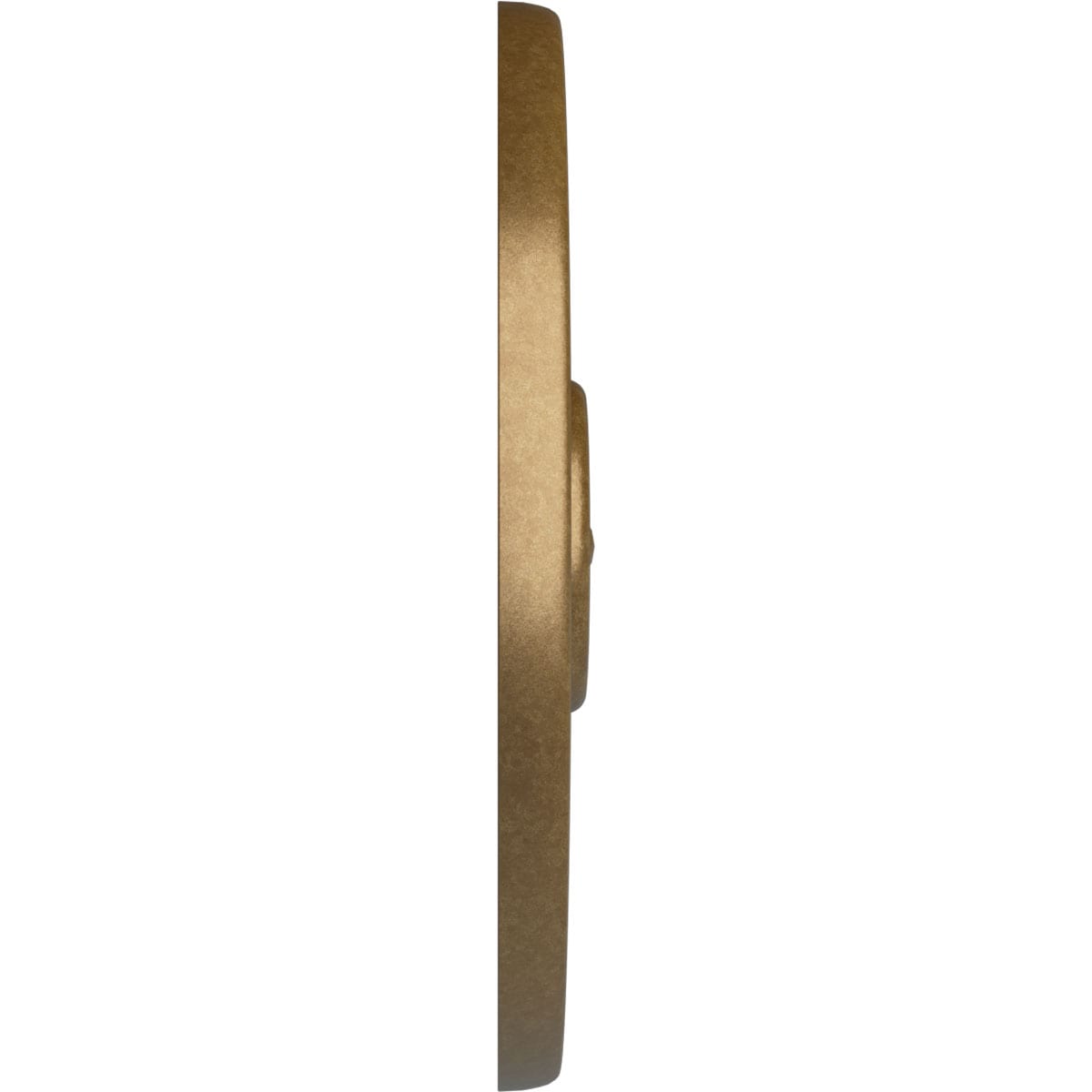 Ekena Millwork CM54TCLPAS Ceiling-Medallions - View #3
