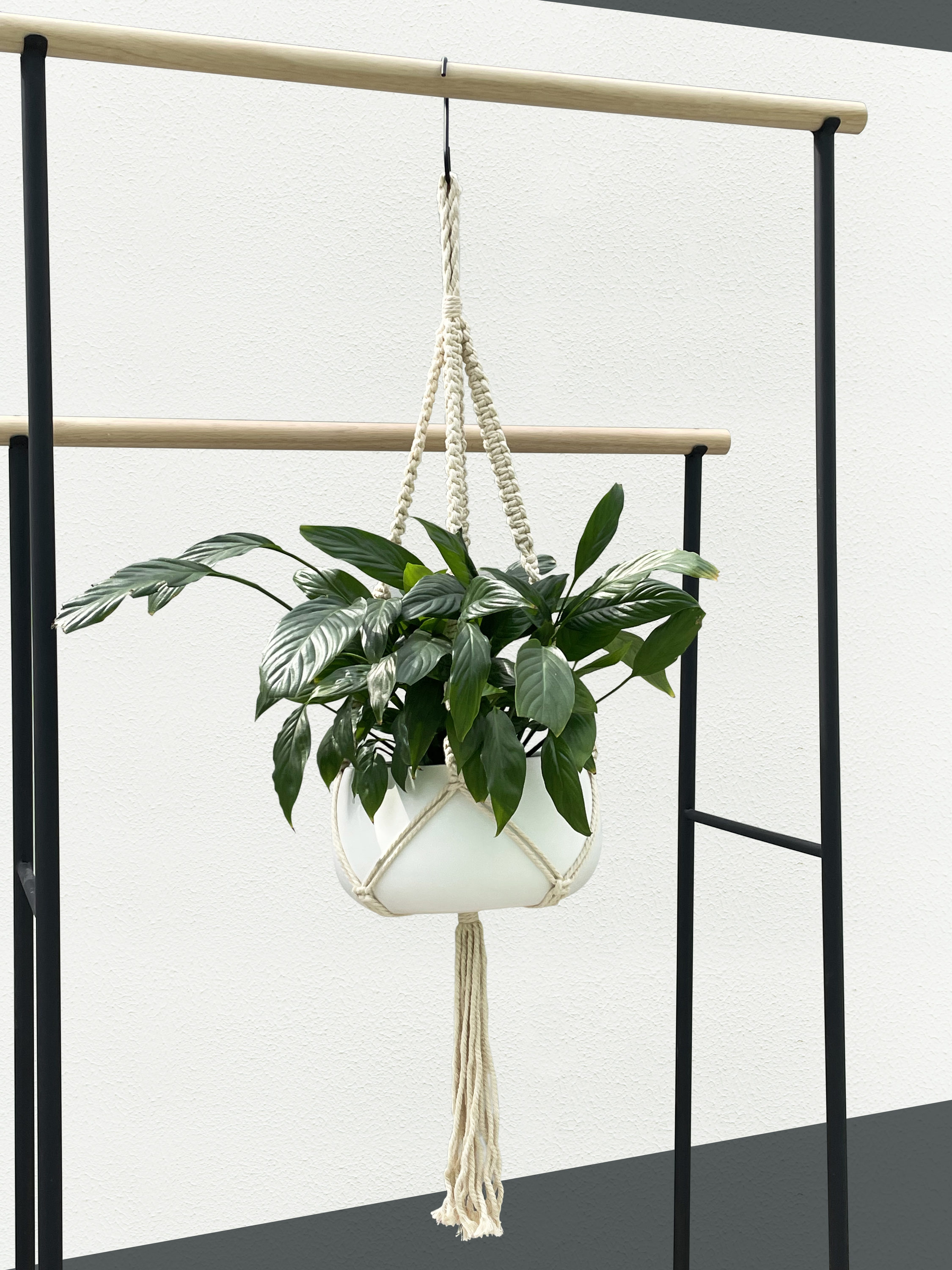allen + roth 1.4-in White Macrame Plant Hook(s) in the Plant Hooks