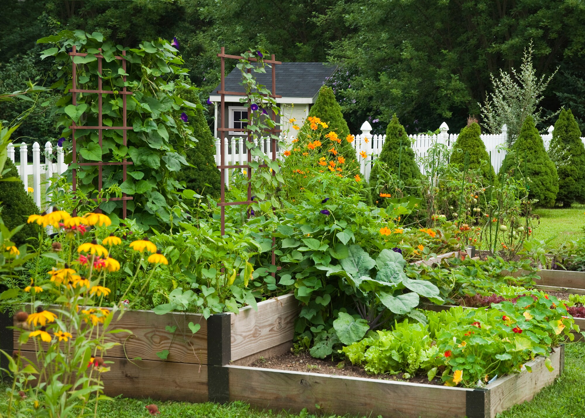 Outdoor Essentials 427538 Garden-Trellis - View #6