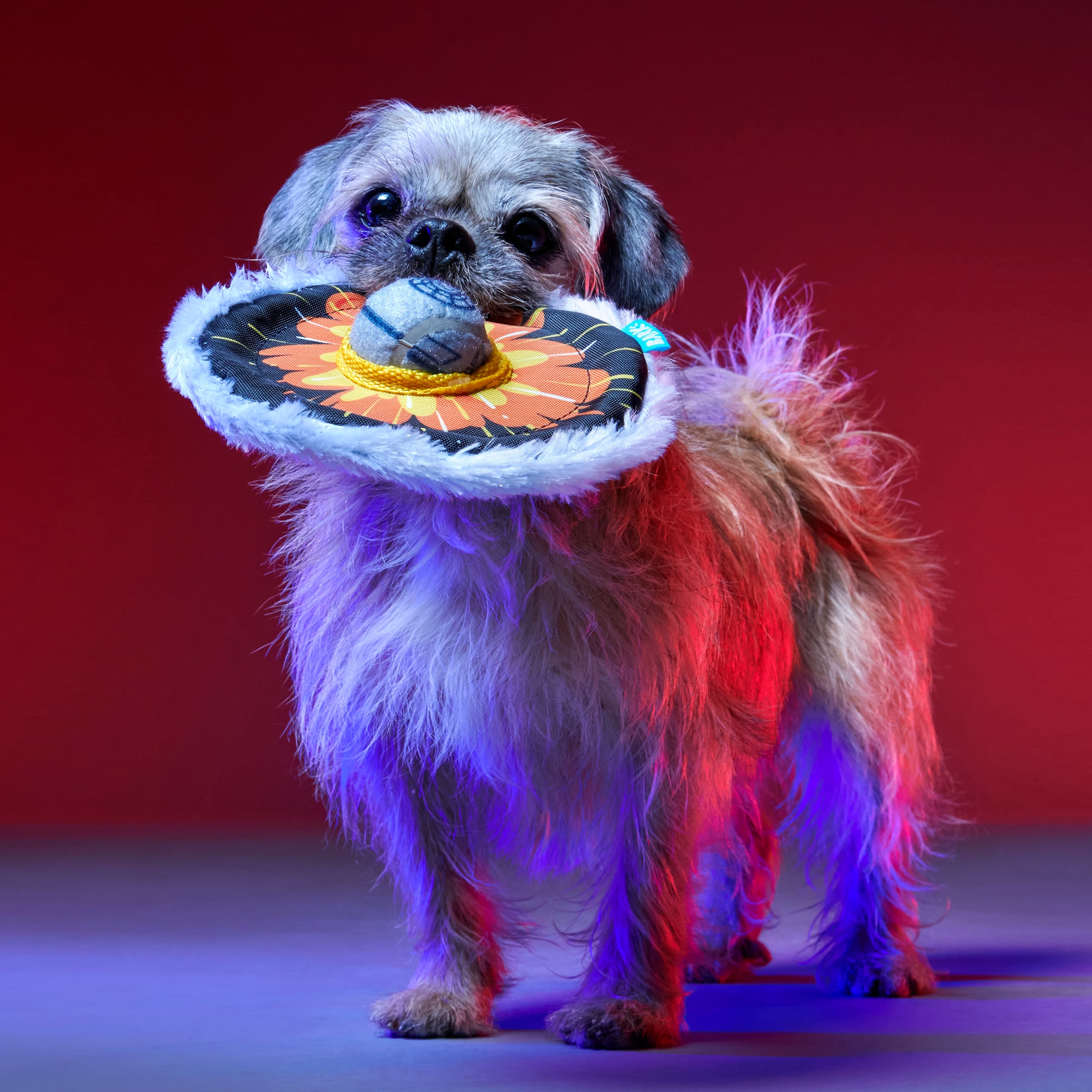 BARK 214201 Dog-Toys - View #3