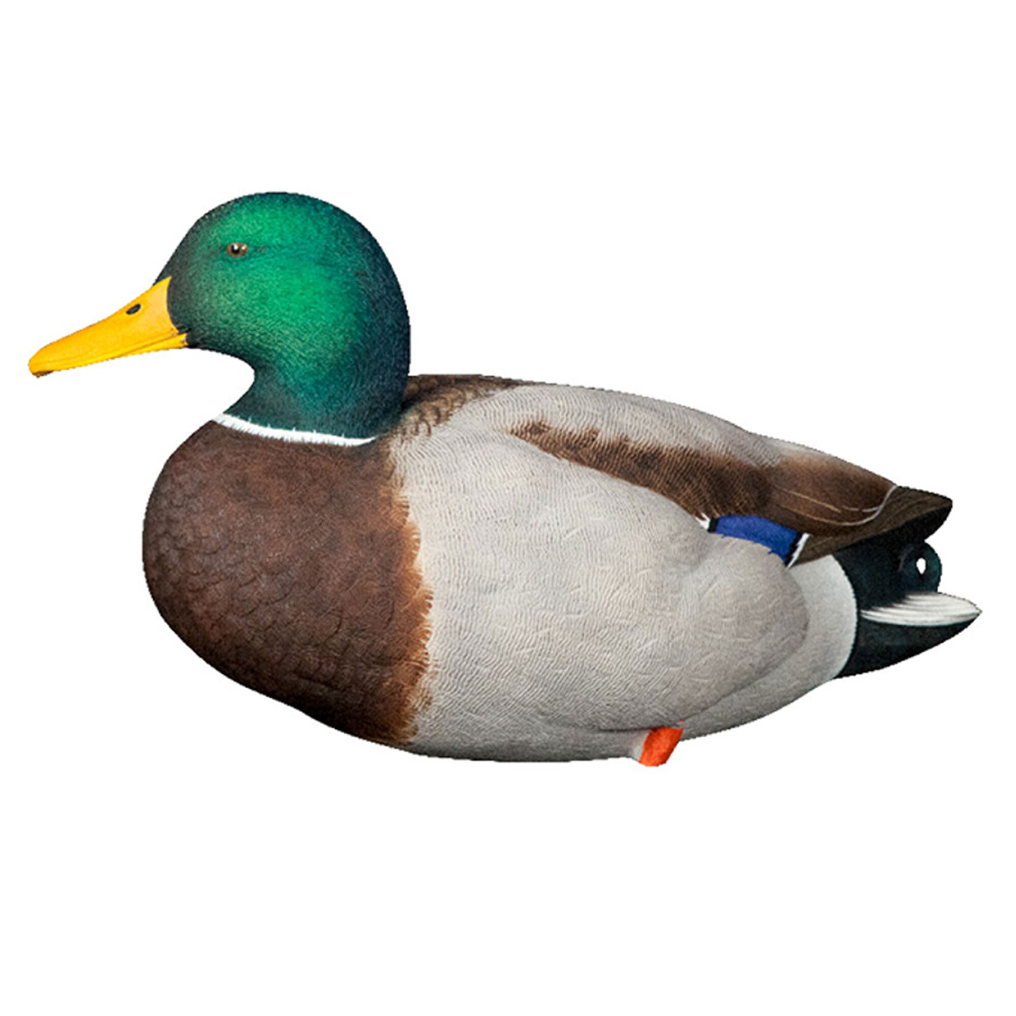  Avian X 399260 Hunting-Equipment - View #8