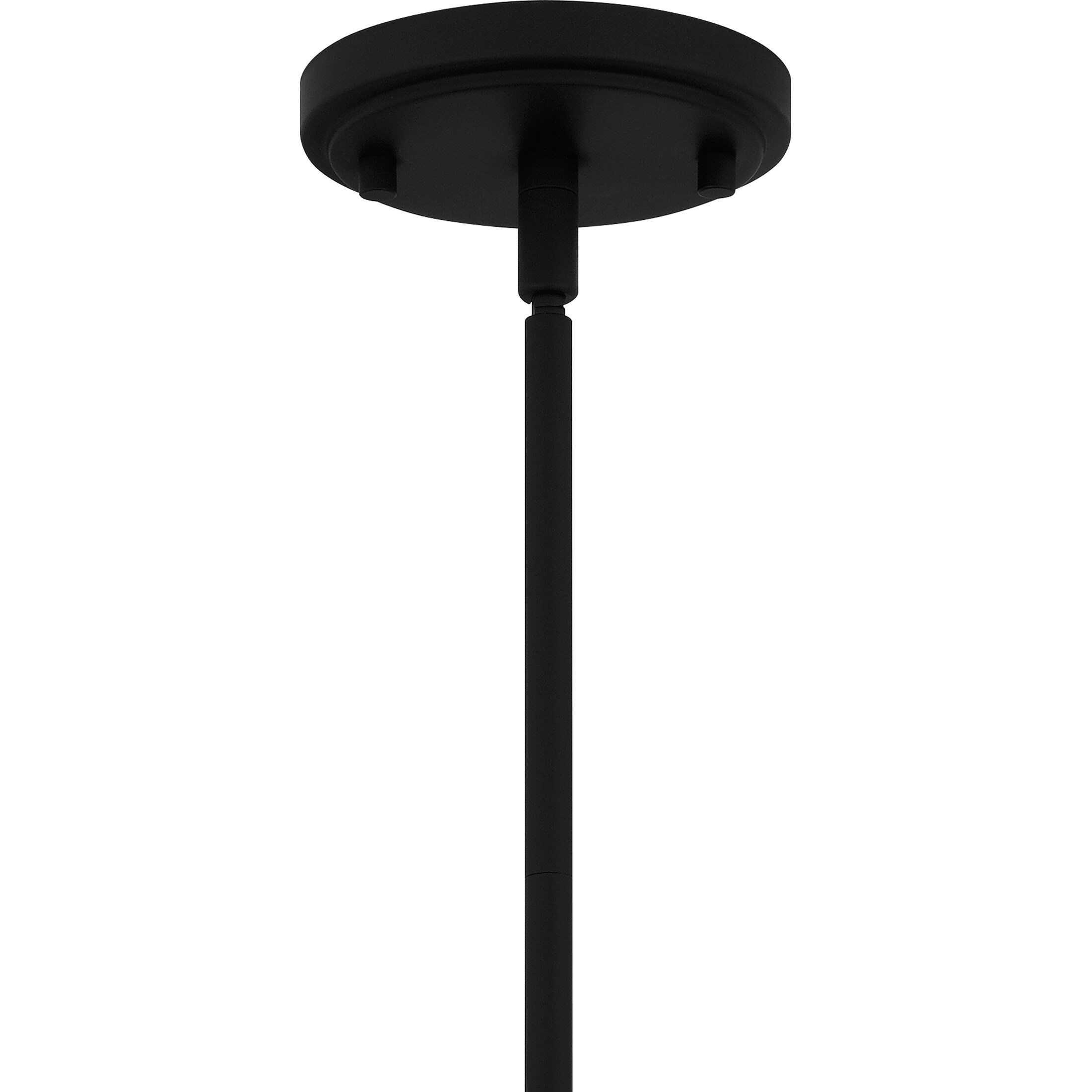 Delilah Matte Black and Rattan Globe Pendant Light