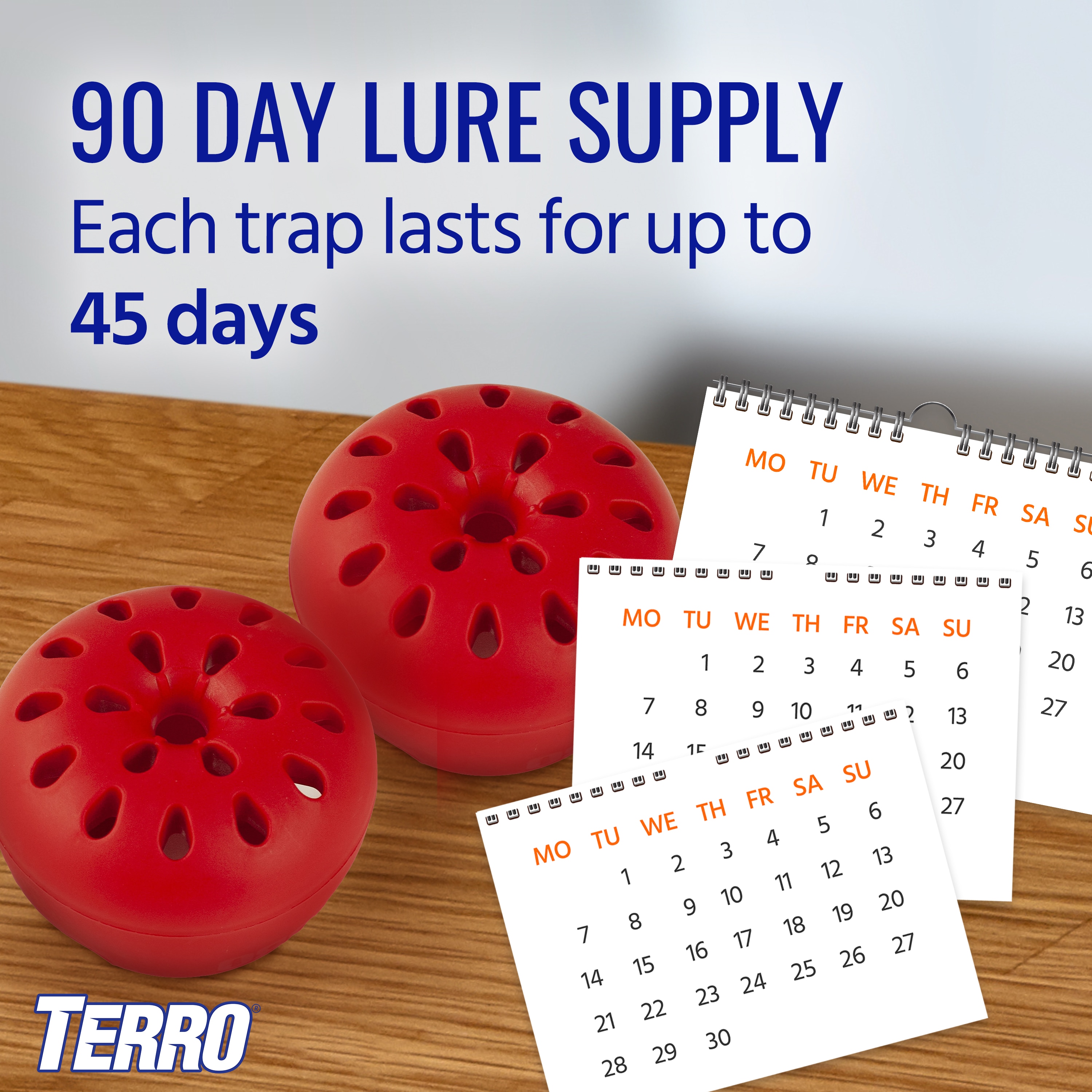  Terro Fruit Fly Trap, pack of 6 : Patio, Lawn & Garden