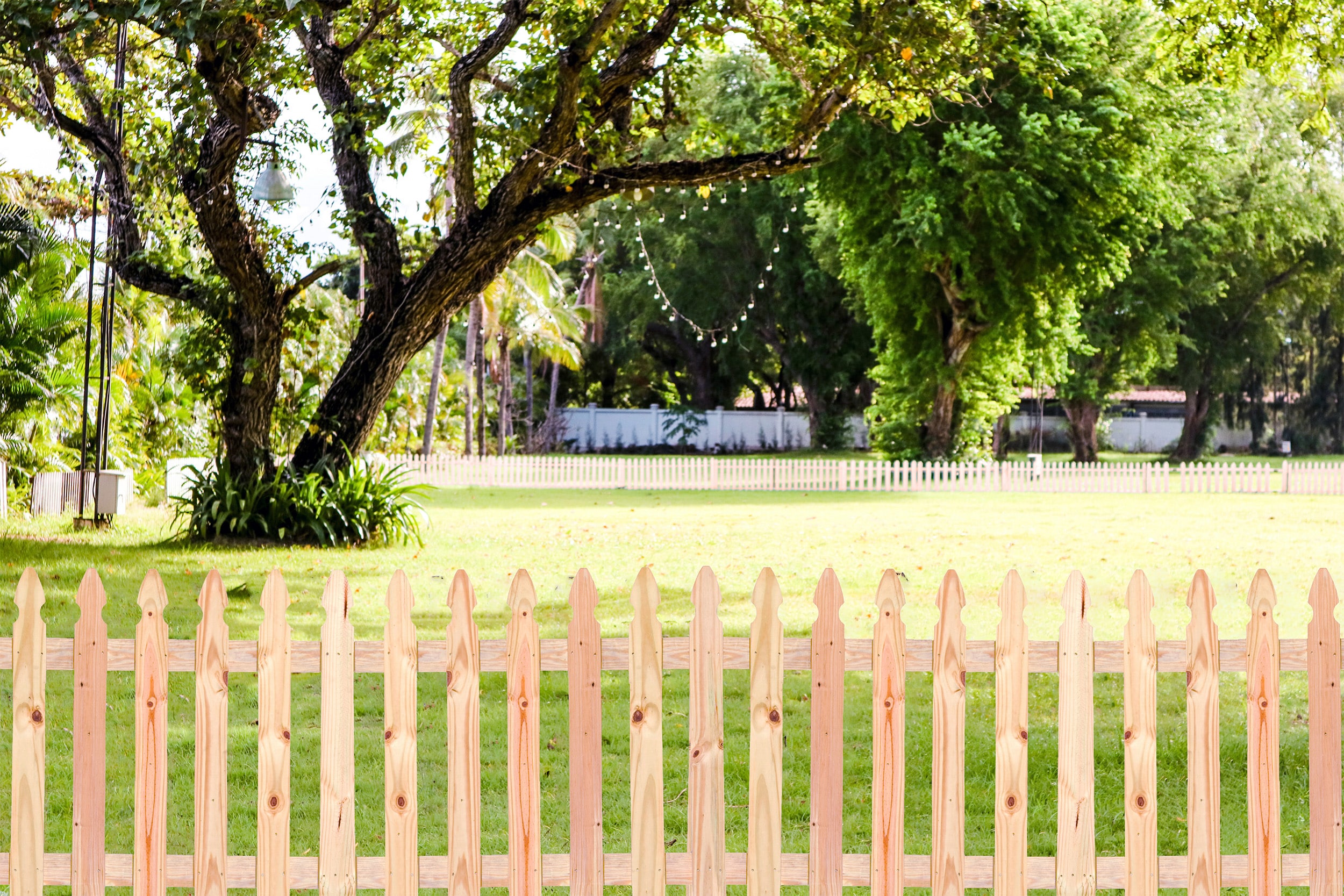 3-ft x 8-ft Cedar French Gothic Spaced Picket Fence Panel in the Wood Fence  Panels department at