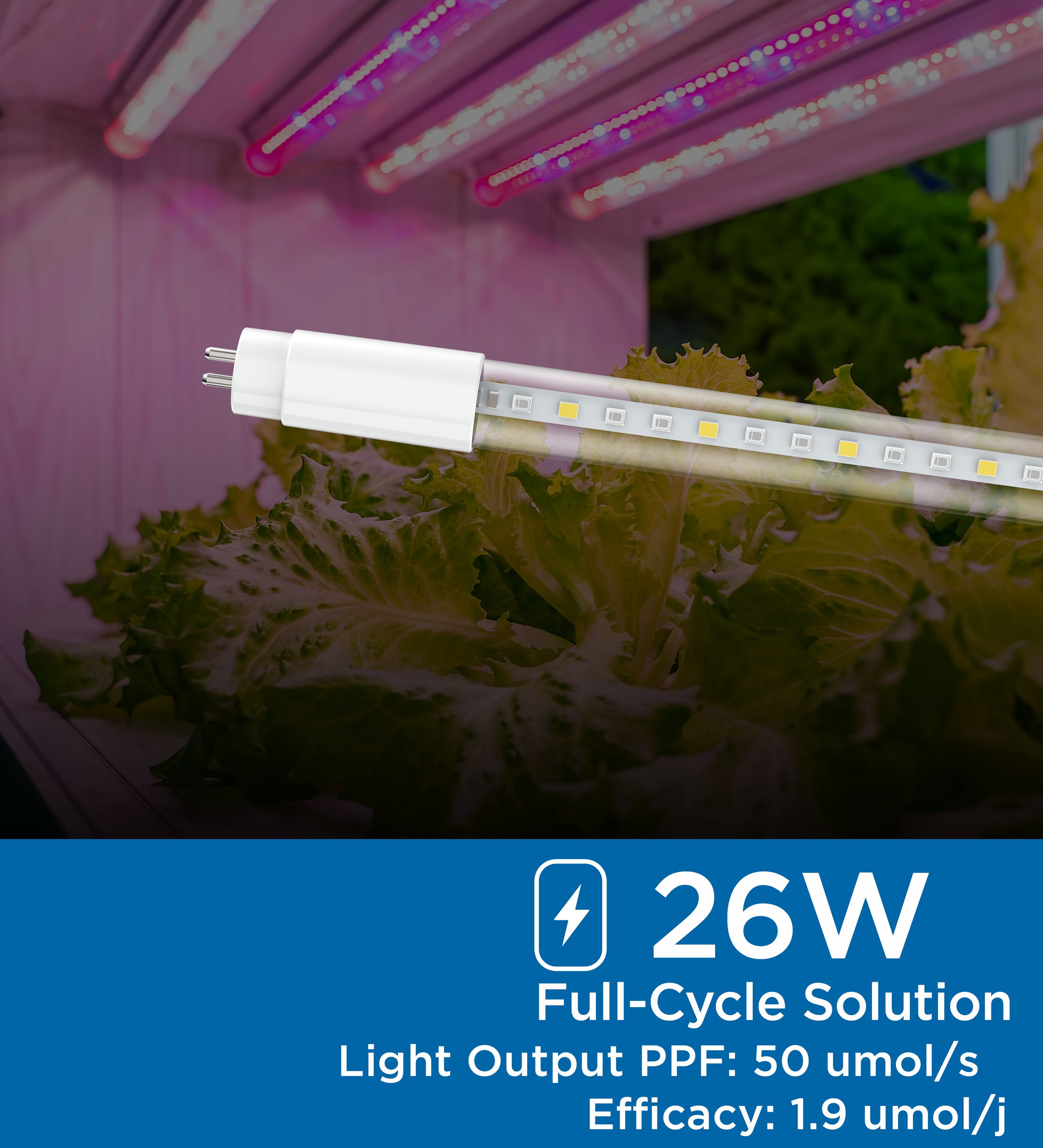 Viribright Lighting 290106 Led-Tube-Light-Bulbs - View #2