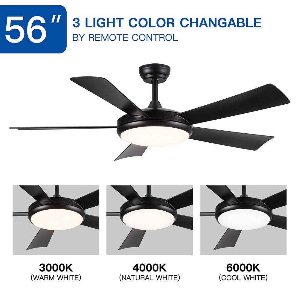 Sunrinx CF-38-DS Ceiling-Fans - View #8
