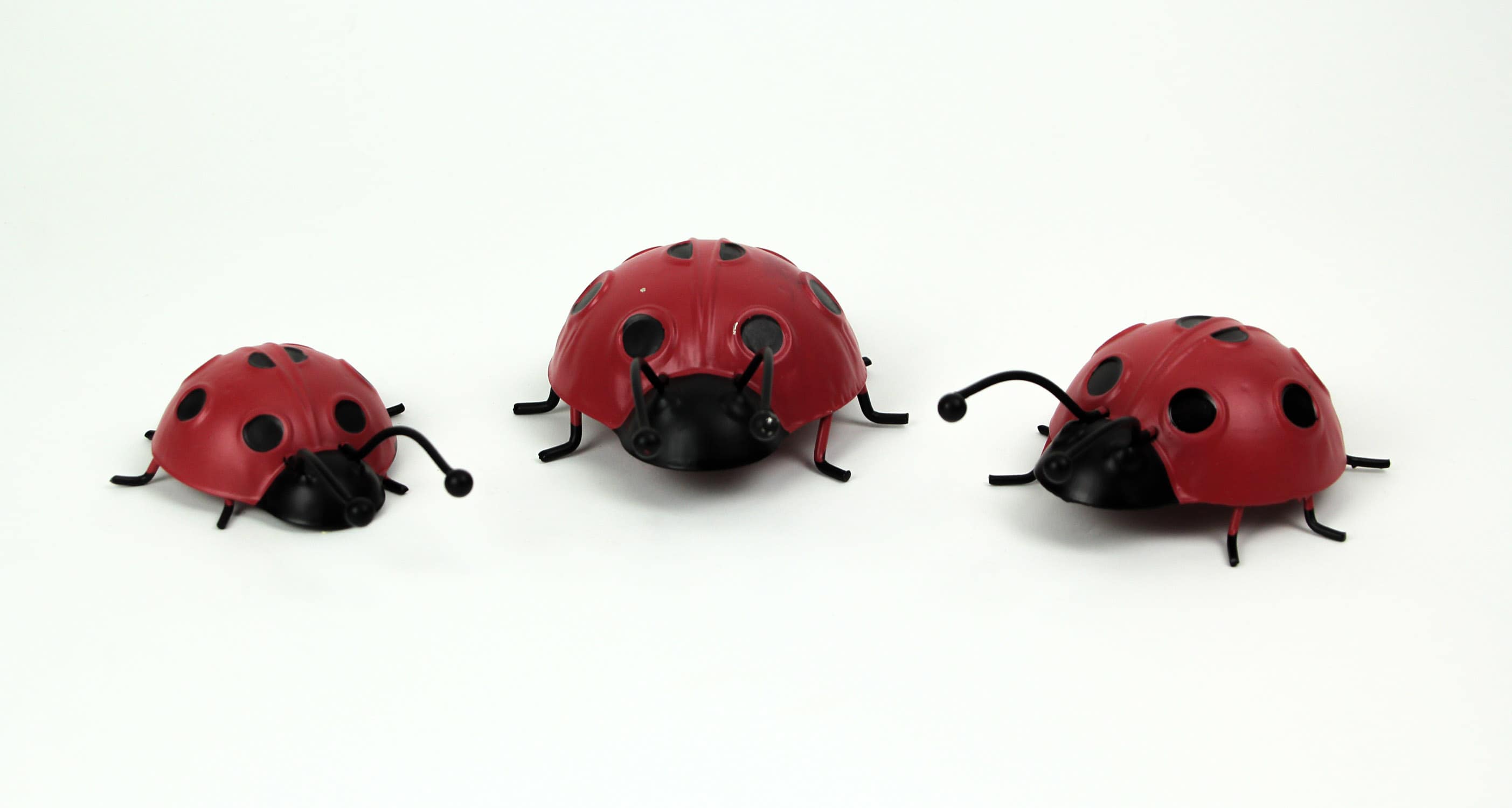 Things2Die4 STI-T21309 Decorative-Accessories - View #3