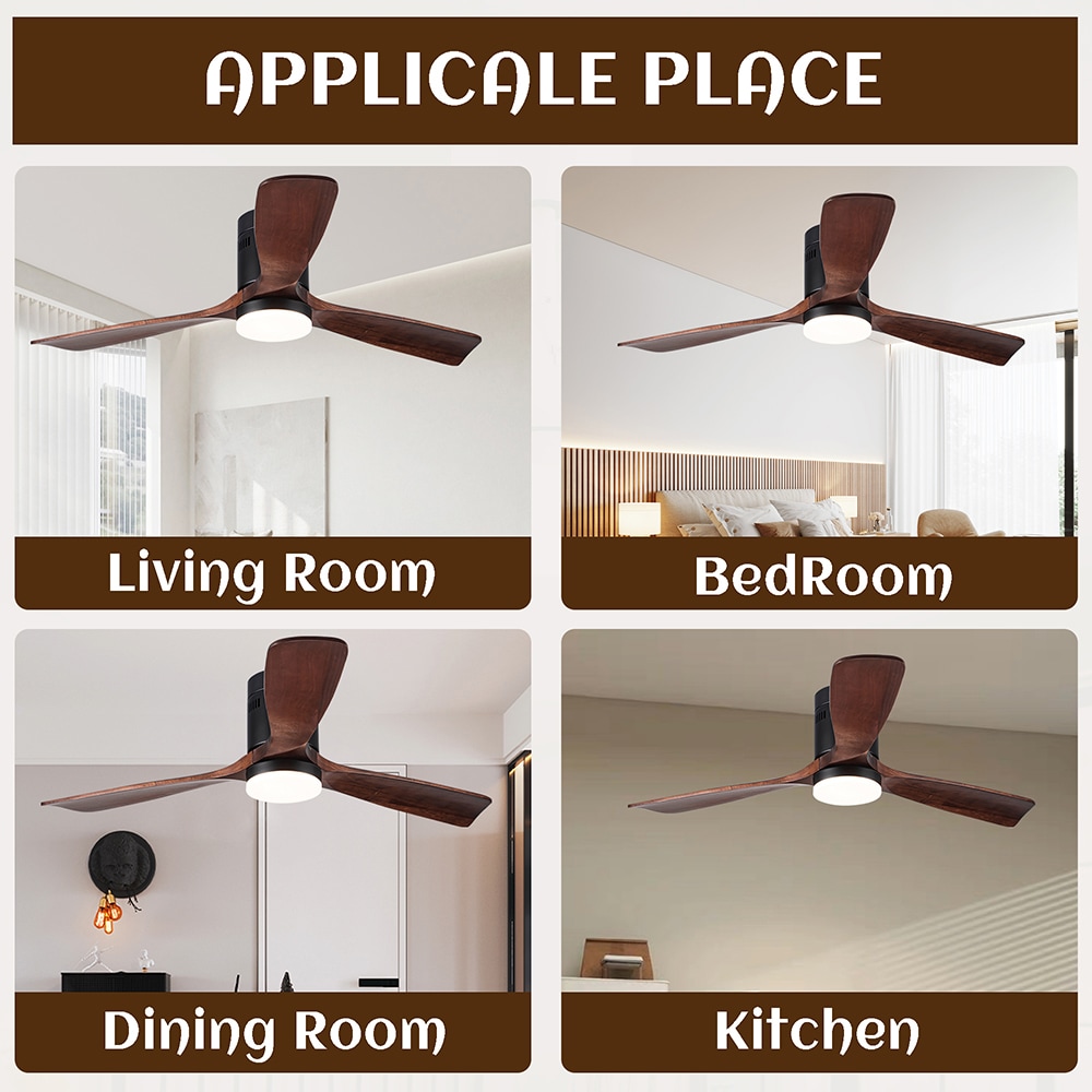 Sunrinx MG37-1-CF-7 Ceiling-Fans - View #4